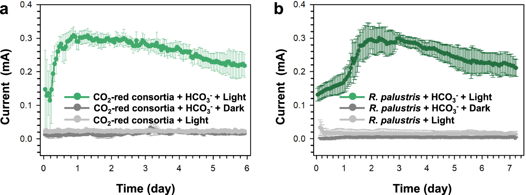 Fig. 6: Electron transfer in the CO2-reducing consortia.