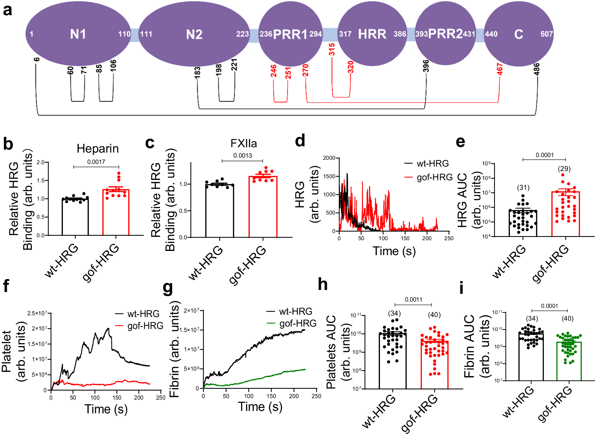 Fig. 8: A gain-of-function mutant of HRG reduces thrombus formation.
