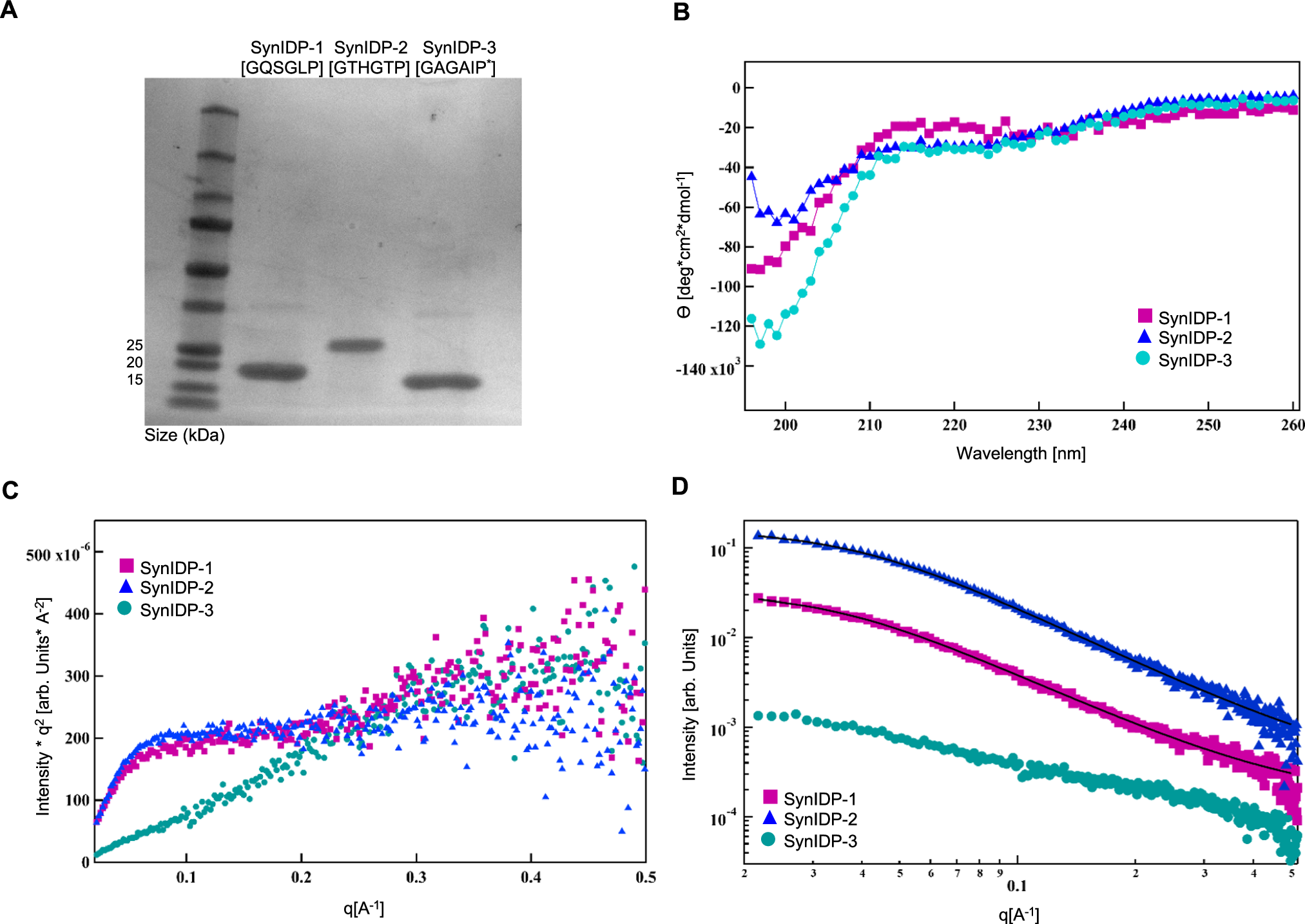 Fig. 2: Characterization of the physical and molecular properties of SynIDPs demonstrate that they are unstructured proteins.