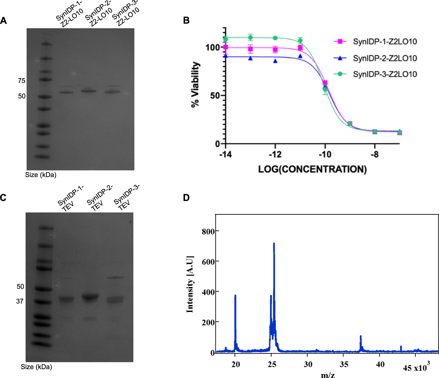 Fig. 4: Fusion to SynIDPs rescues soluble and functional expression of Z2-LO10 and TEV proteins.