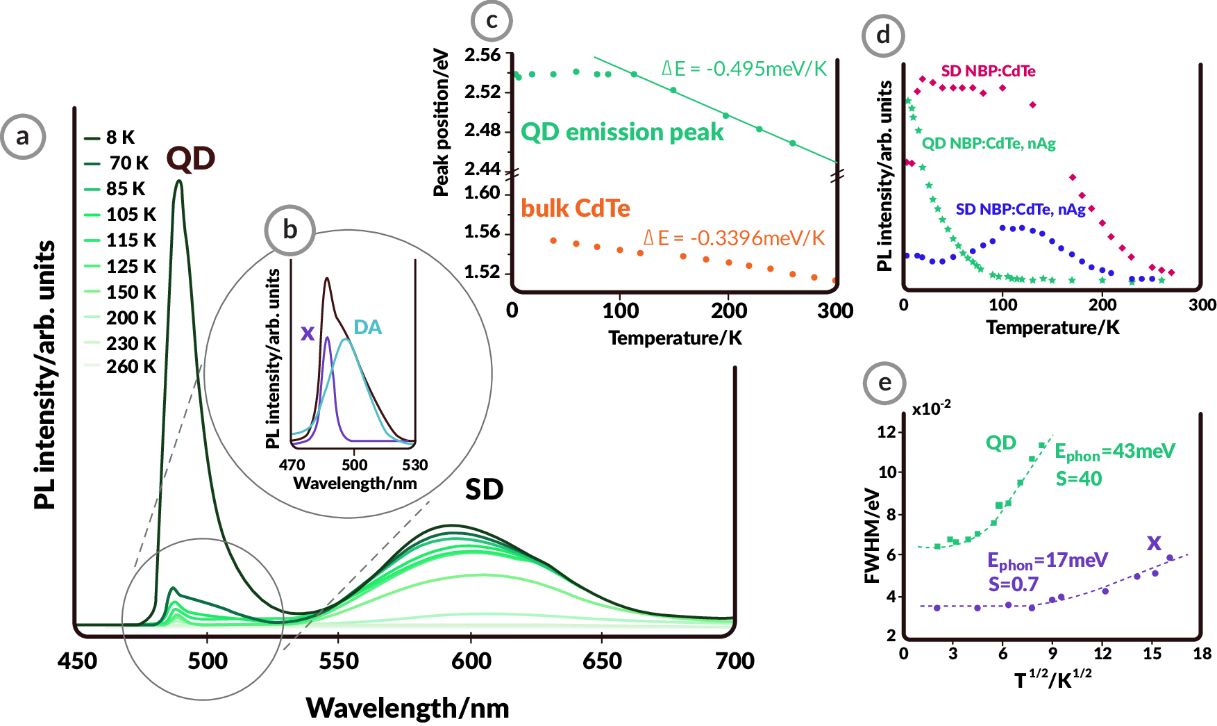 Fig. 3: Photoluminescence (PL) temperature dependence of the glass-QDs-nAg (where QDs: quantum dots, nAg: silver nanoparticles) nanocomposite.