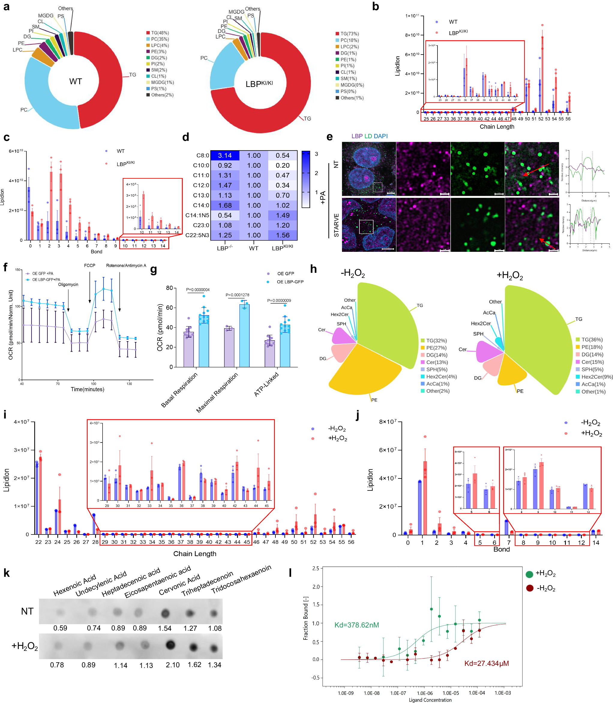 Fig. 3: LBP binds with unsaturated TG to prevent against lipid peroxidation.