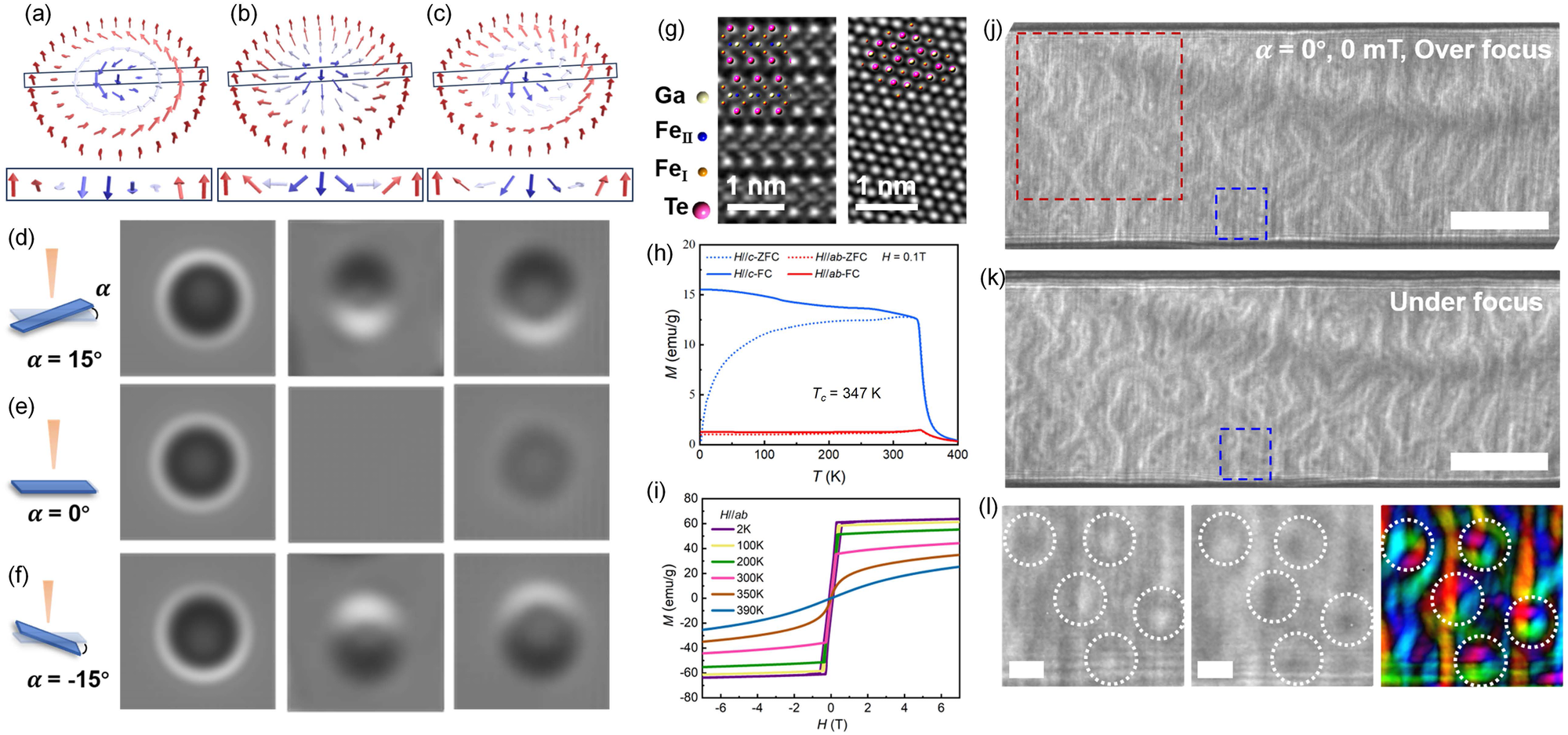 Distinct skyrmion phases at room temperature in two-dimensional ferromagnet  Fe3GaTe2 | Nature Communications