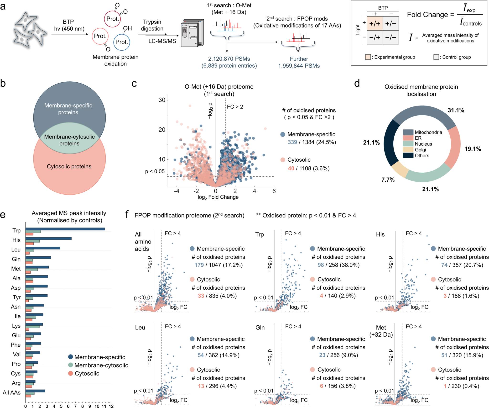 Fig. 3: Comprehensive proteomic profiling of membrane protein oxidation induced by BTP photocatalysis.