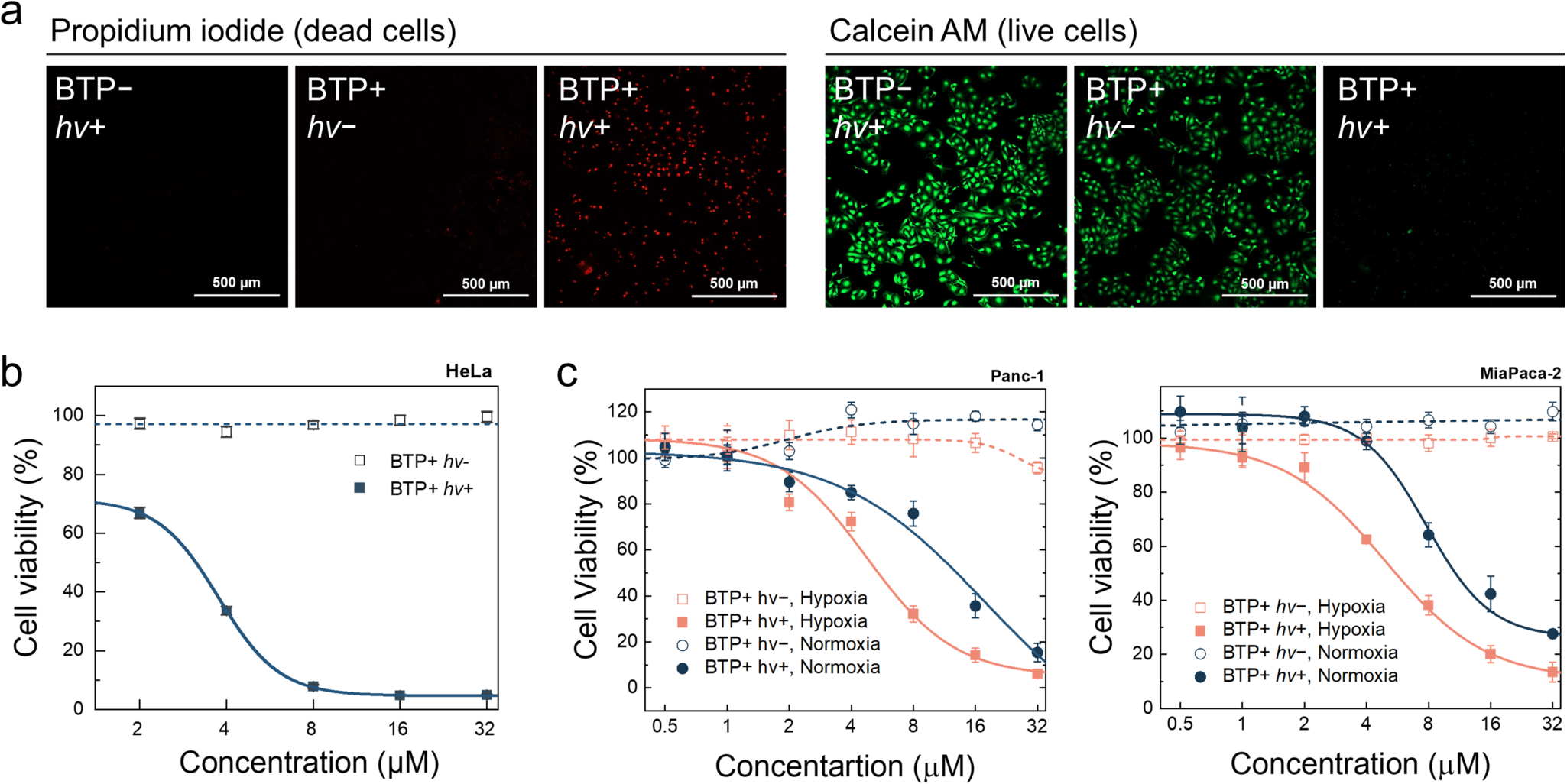 Fig. 6: BTP photocatalysis induced cytotoxicity.