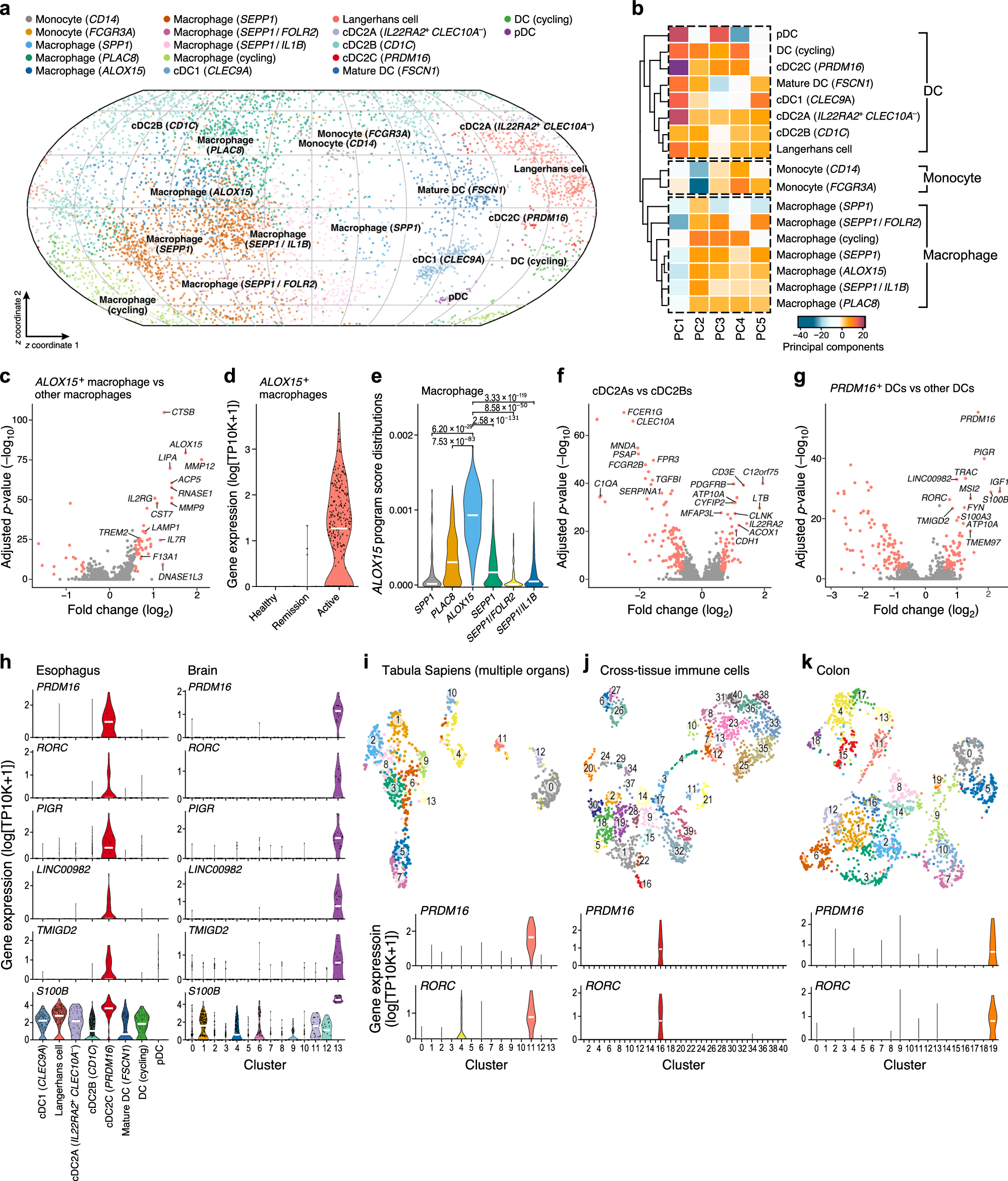 Fig. 3: Disease-associated ALOX15+ macrophages and PRDM16+ DCs in the EoE myeloid compartment.