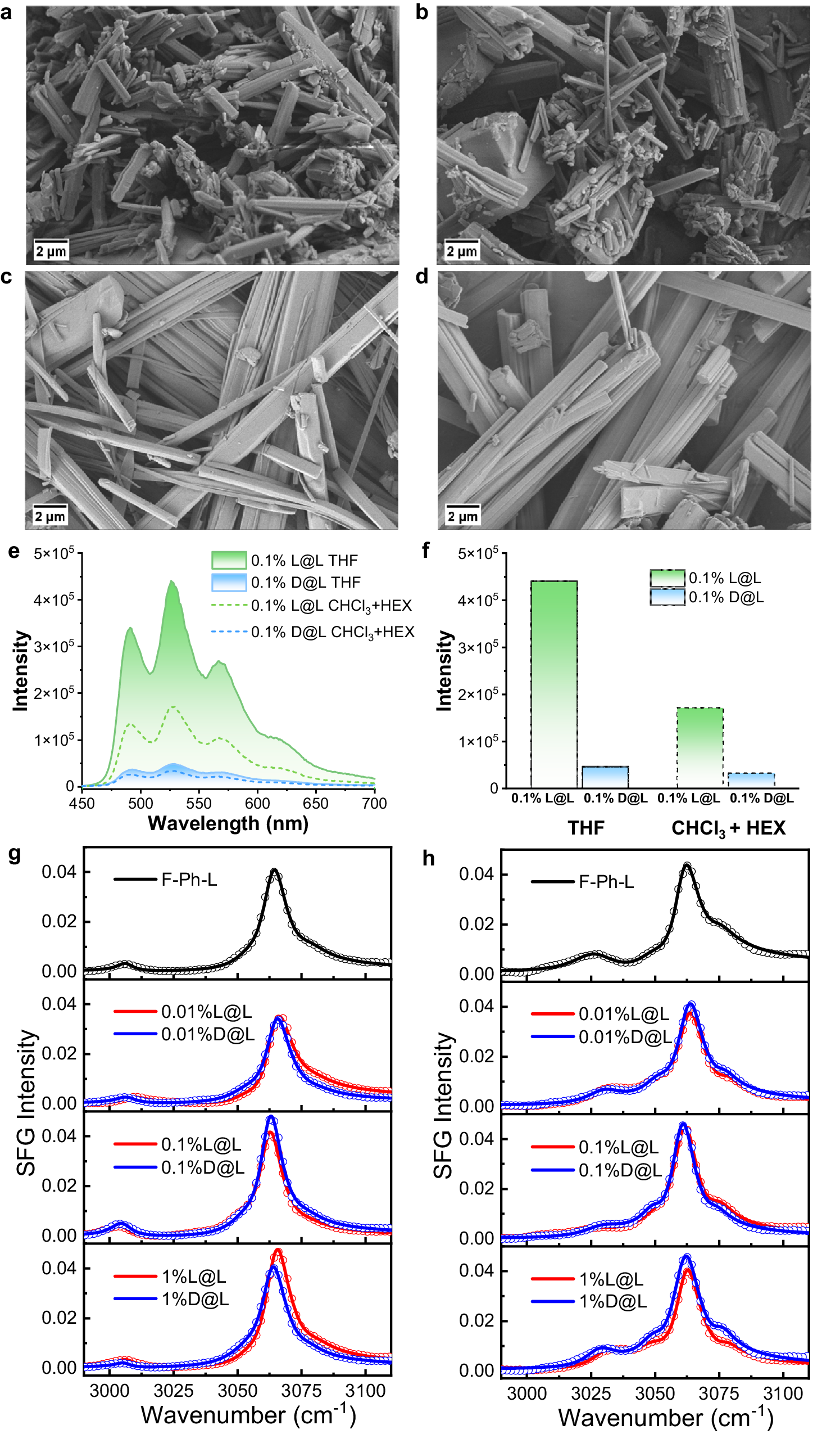 Fig. 4: Exploration of morphology and microstructure.
