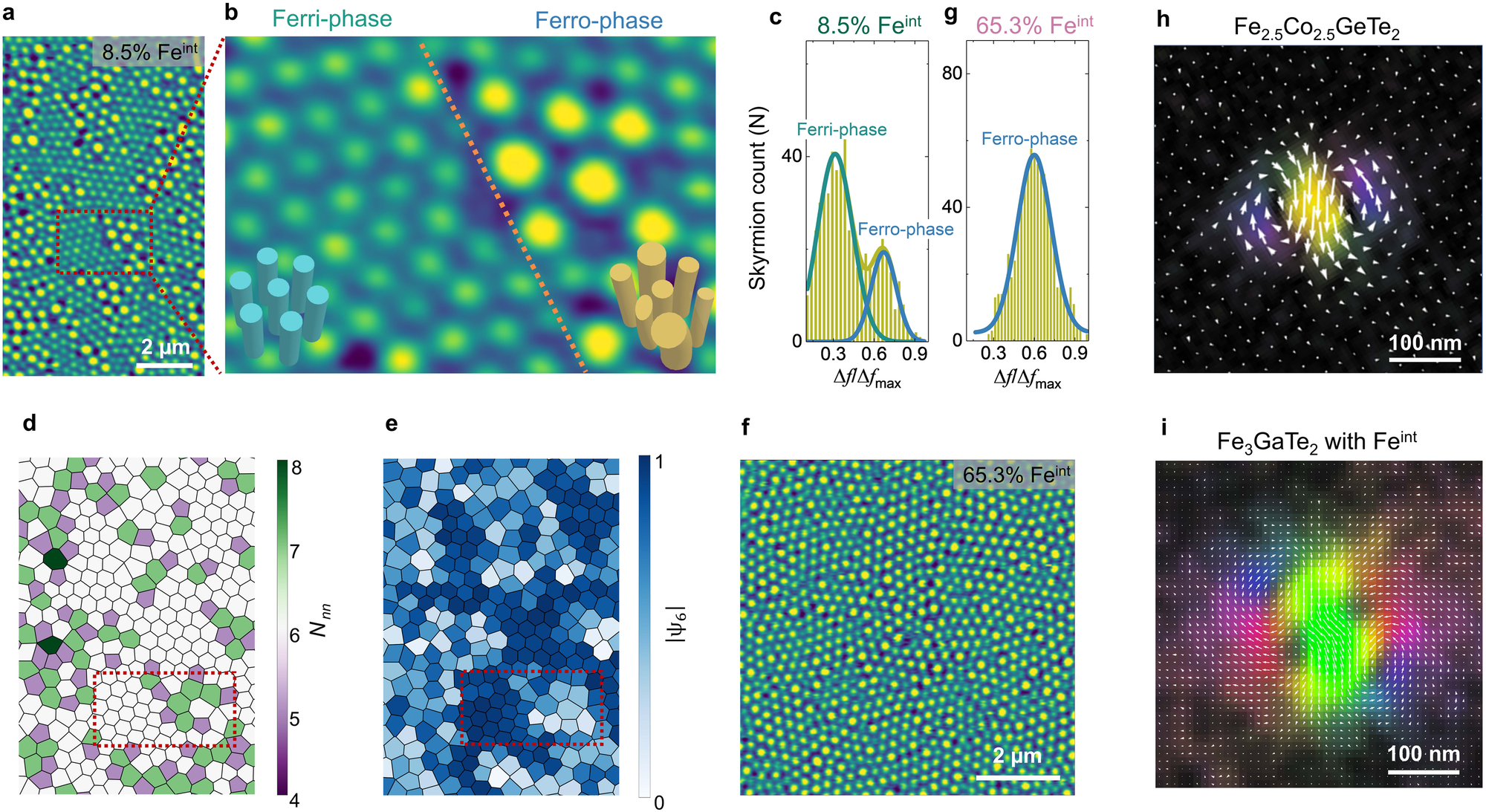 Fig. 3: Skyrmion ordering.