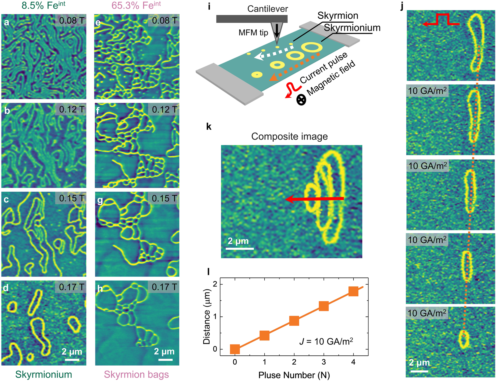 Fig. 4: Manipulation of topological number and skyrmionium dynamics.