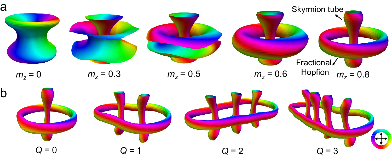 Fig. 6: Skyrmion bundles comprise skyrmion tubes encircled by a fractional Hopfion.