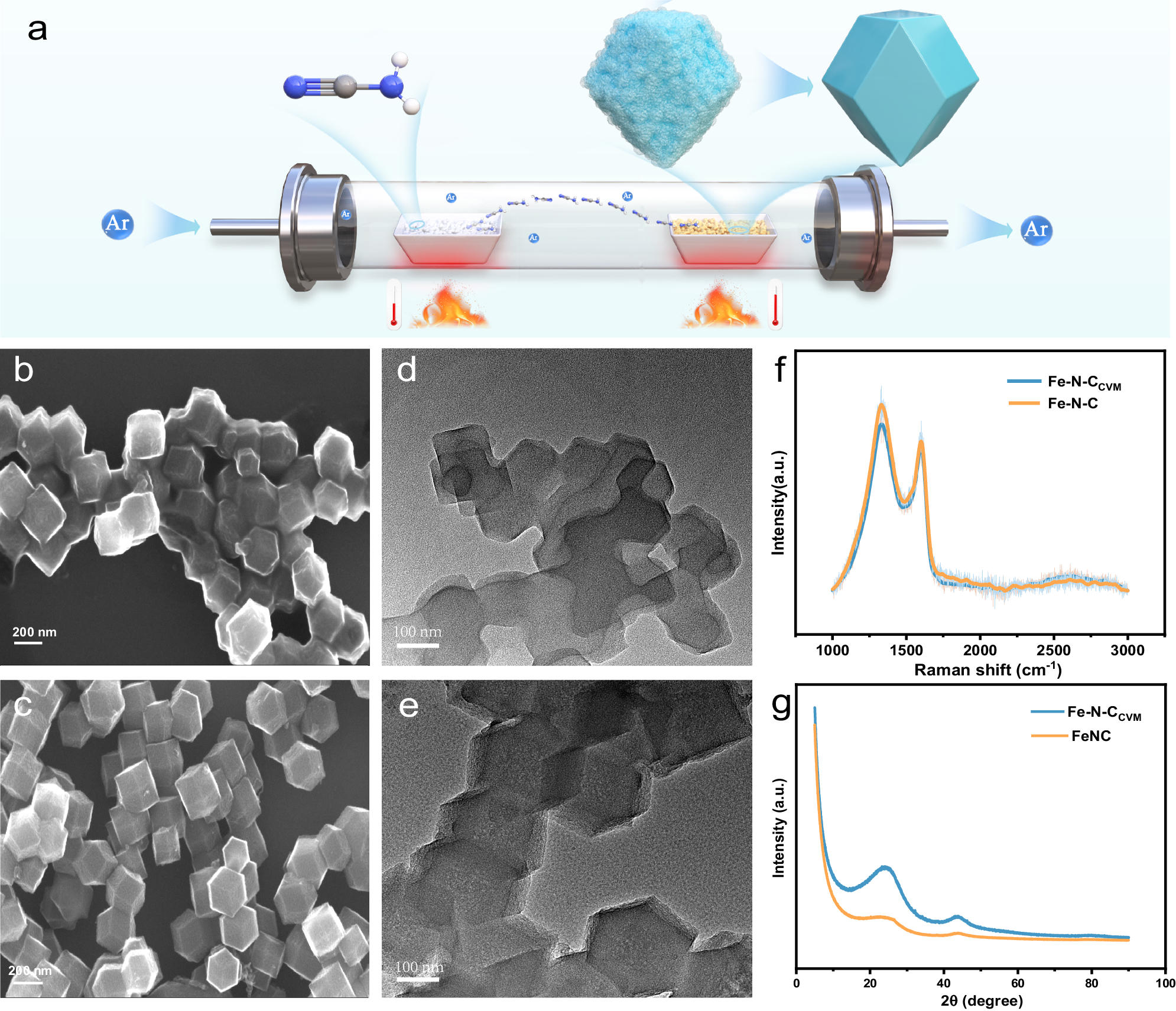 Fig. 1: Synthesis and characterization of Fe-N-C and Fe-N-CCVM.