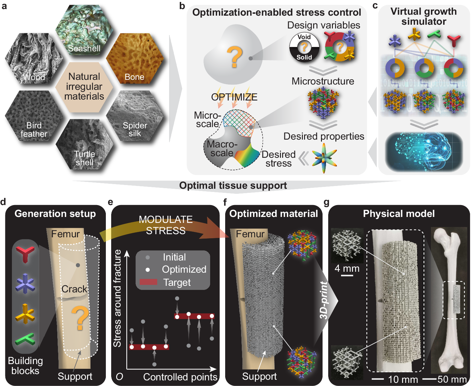 Modulate stress distribution with bio-inspired irregular 