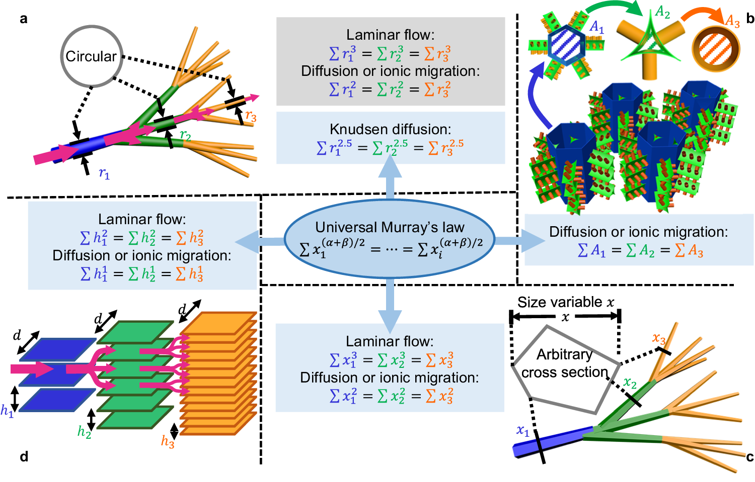 Universal Murray&rsquo;s law for optimised fluid transport in synthetic 