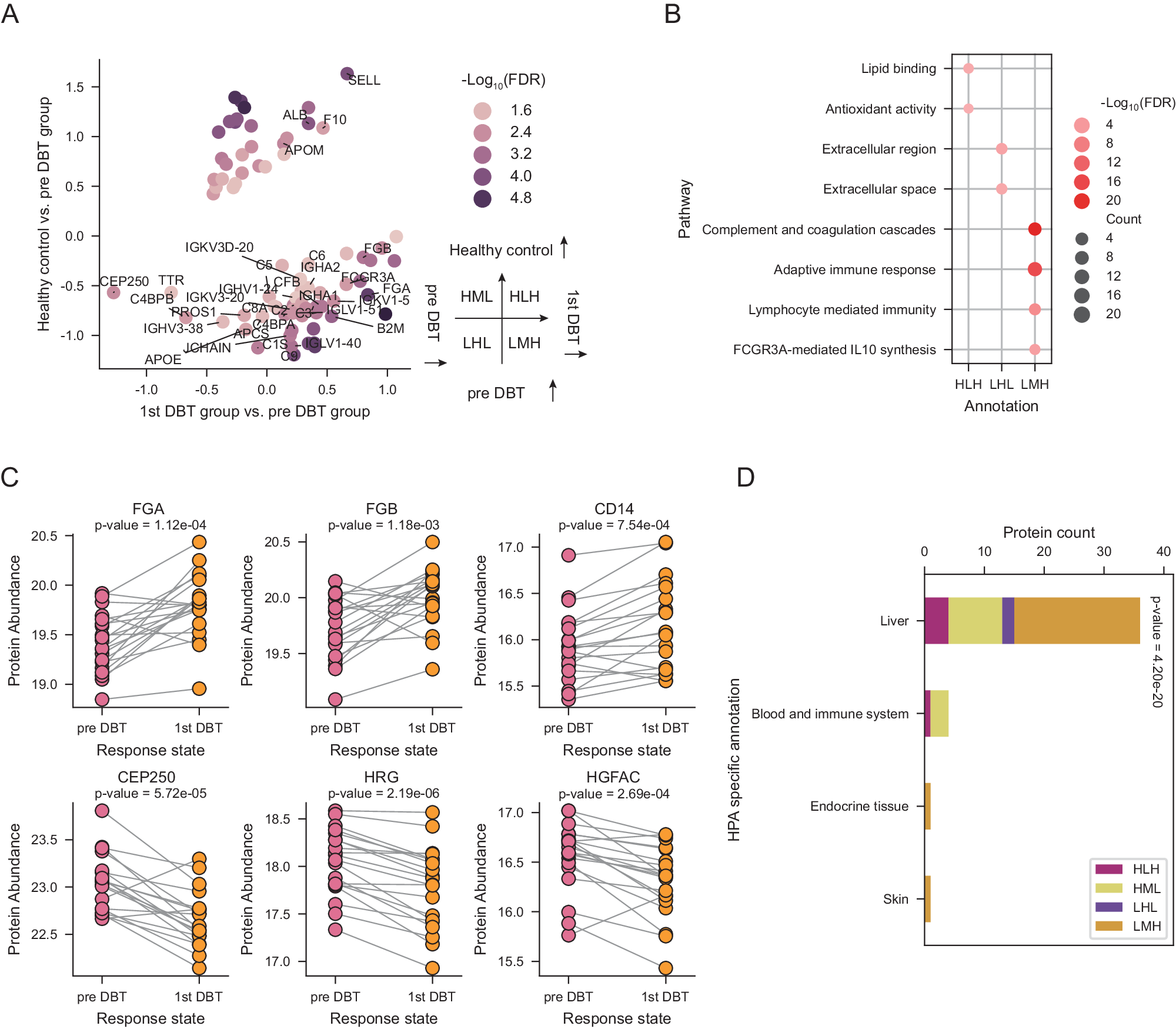 Fig. 2: The effects of DBT on plasma proteome.