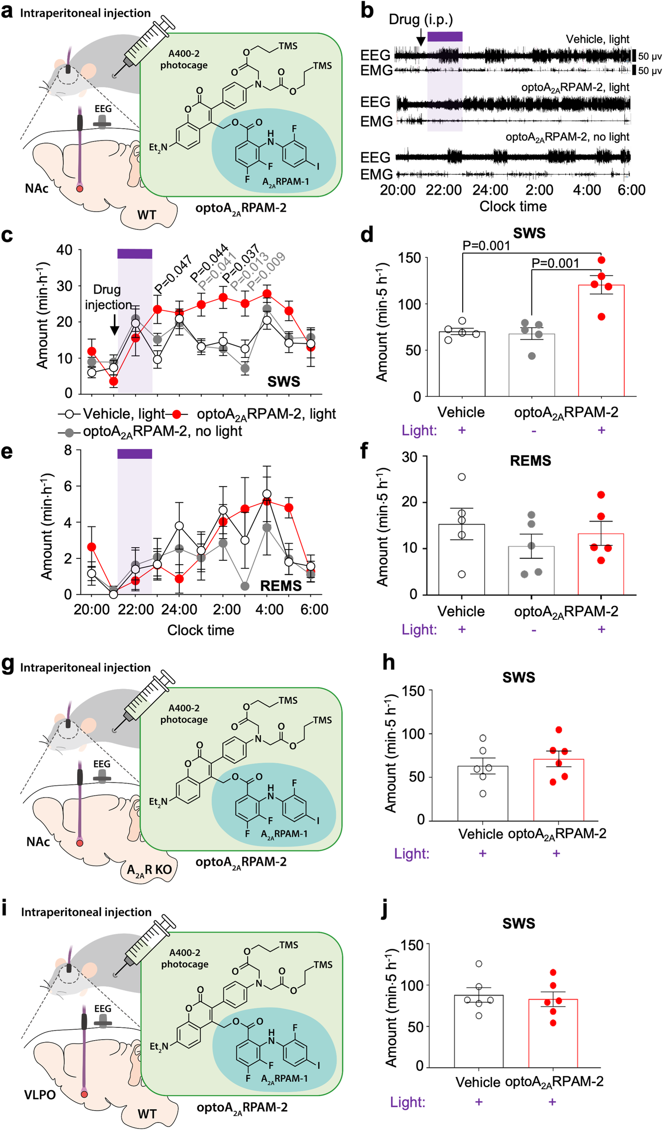 Fig. 6: Systemic administration of optoA2ARPAM-2 together with photoirradiation of the NAc in WT mice or A2AR KO mice and the VLPO in WT mice.