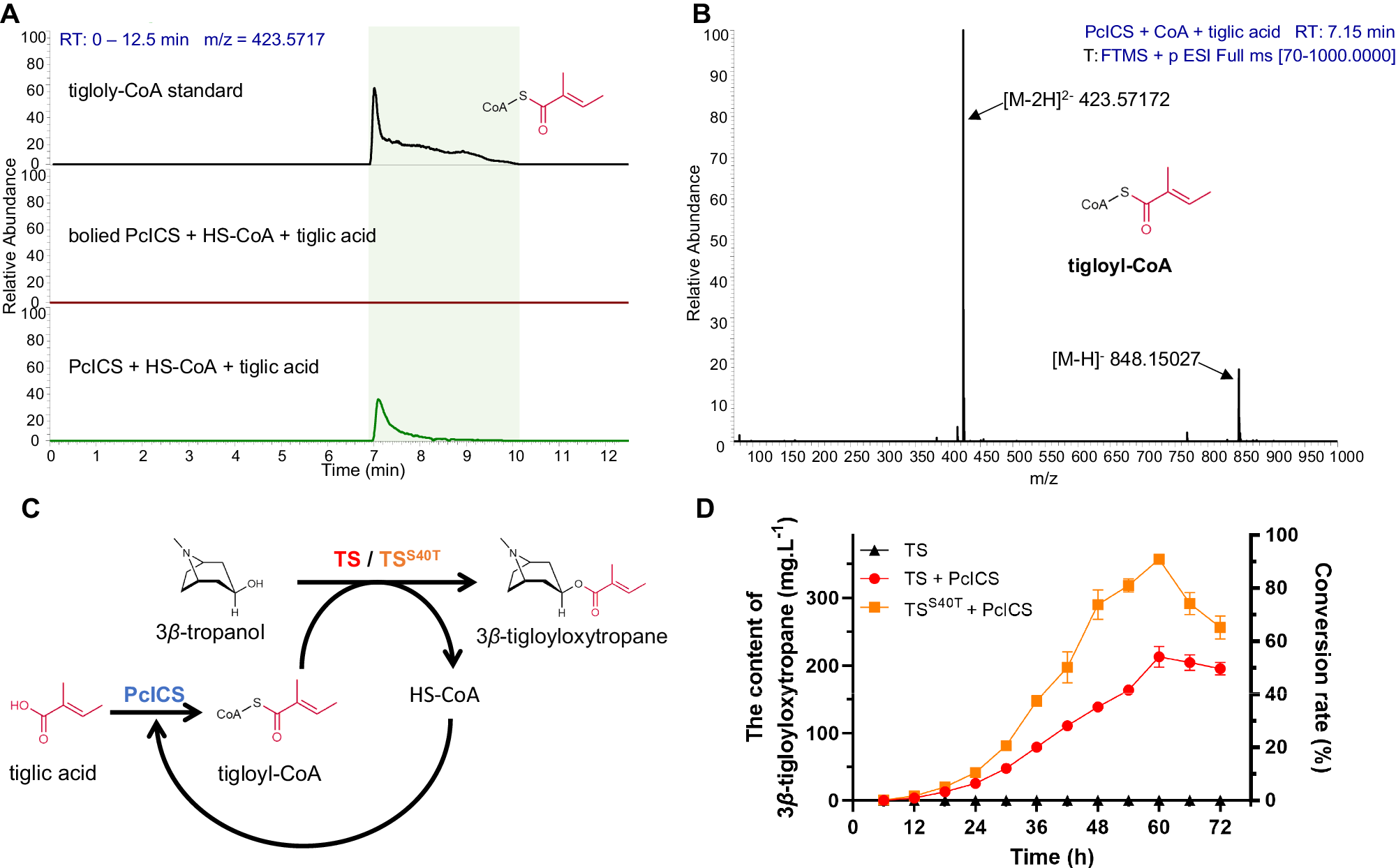 Fig. 8: E. coli bioreactors for the biosynthesis of 3β-tropanol esters.