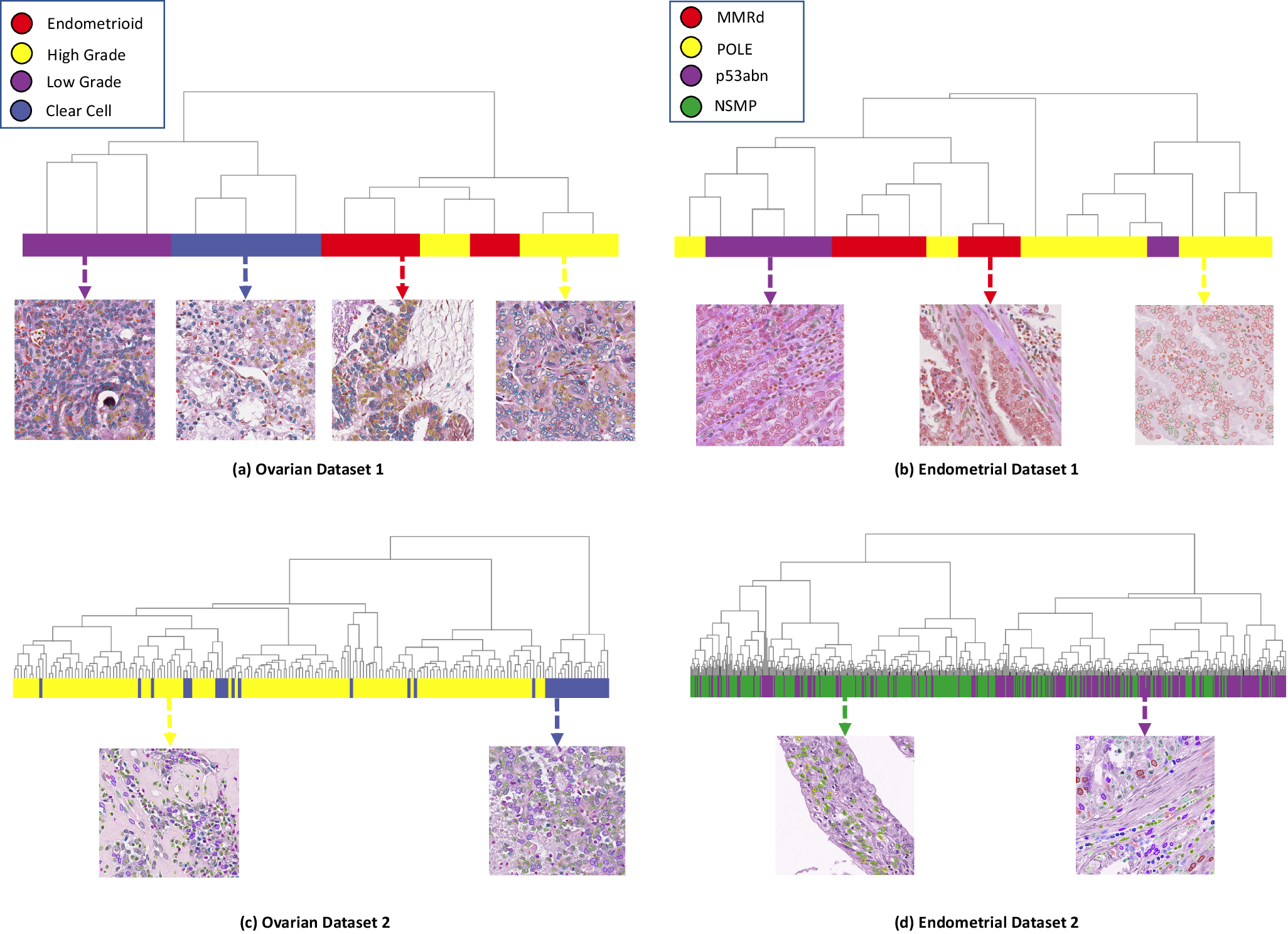 Fig. 4: Cancer subtype clustering across four datasets.