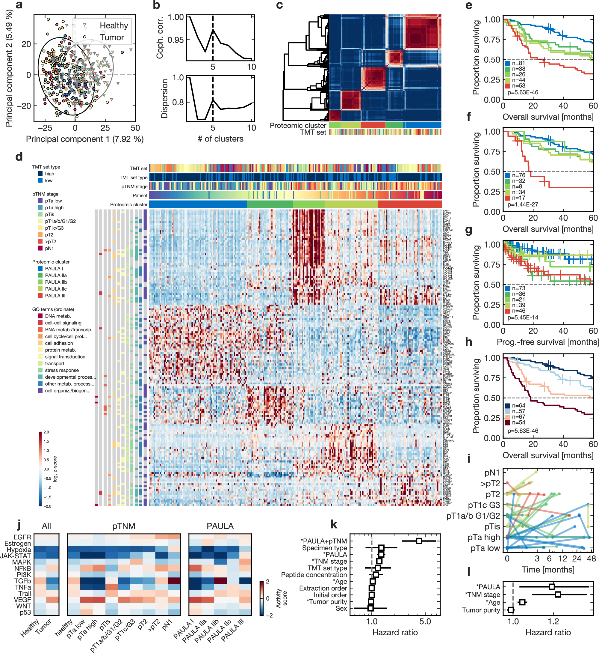 Fig. 3: Proteomic clusters map the urothelial bladder cancer landscape.