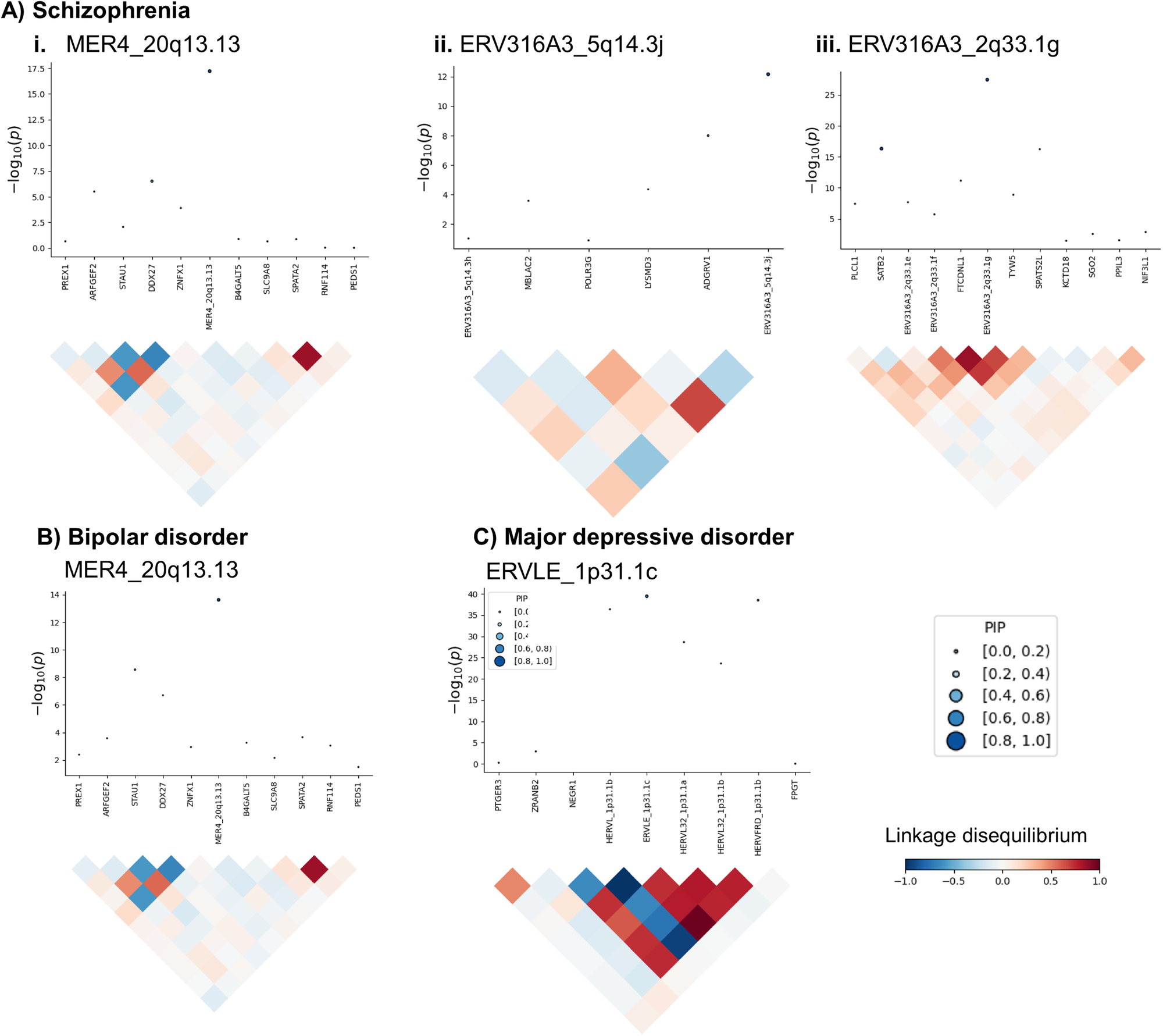 Fig. 4: Fine-mapping analysis supports high confidence risk HERVs for multiple psychiatric disorders.