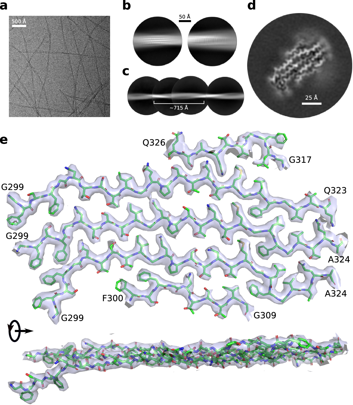 Fig. 4: Cryo-EM structure of Nup98FG(298-327) fibrils.