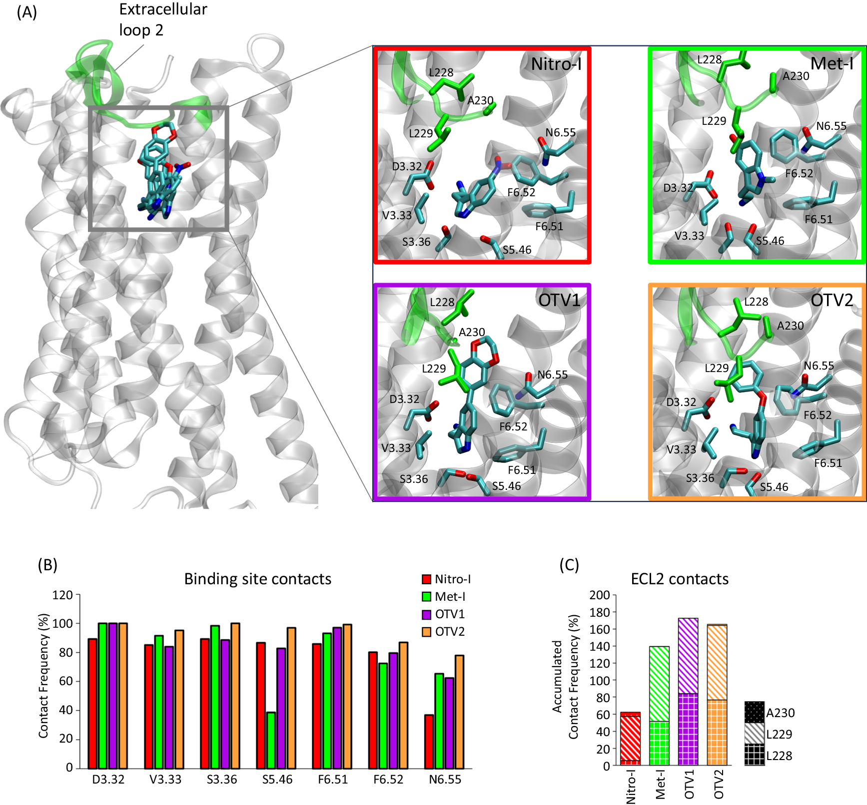 Fig. 5: In silico modeling of the ligand-5-HT2AR interactions for Nitro-I, Met-I, OTV1, and OTV2.