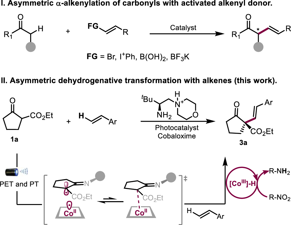 Fig. 1: Strategies for asymmetric α-alkenylation of carbonyls.