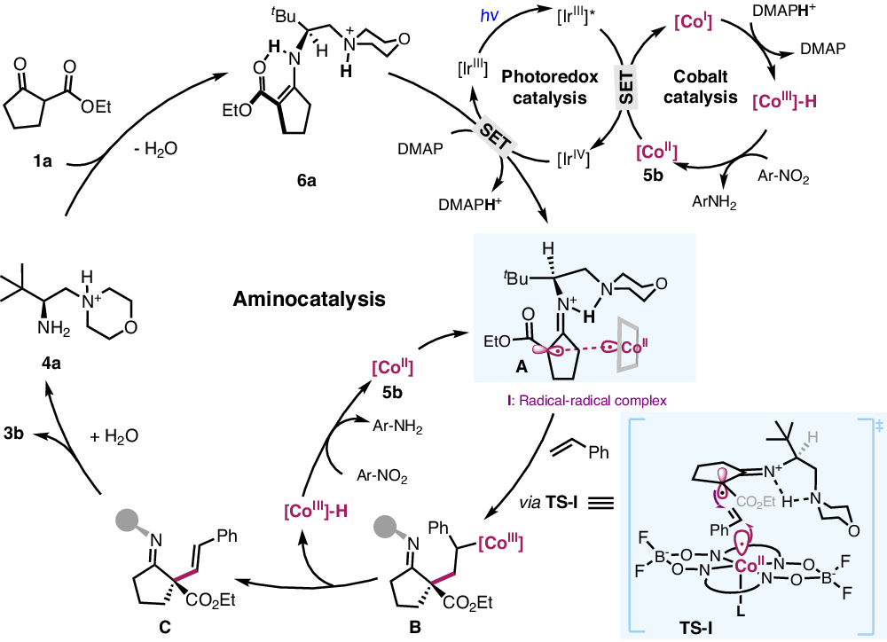 Fig. 7: Proposed catalytic cycle.
