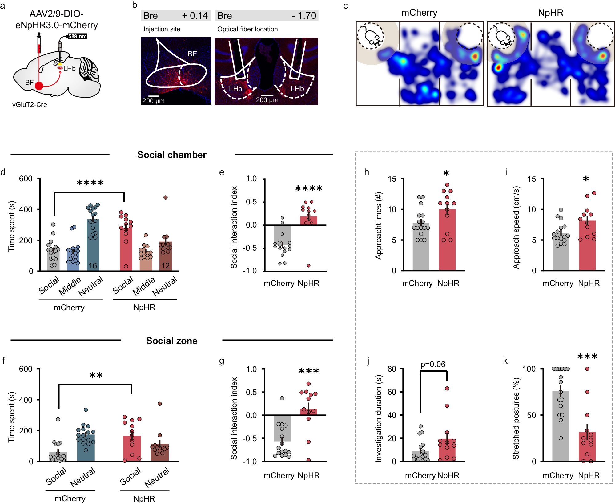 Fig. 6: Optogenetic inhibition of BF-LHb glutamatergic pathway alleviates social fear.