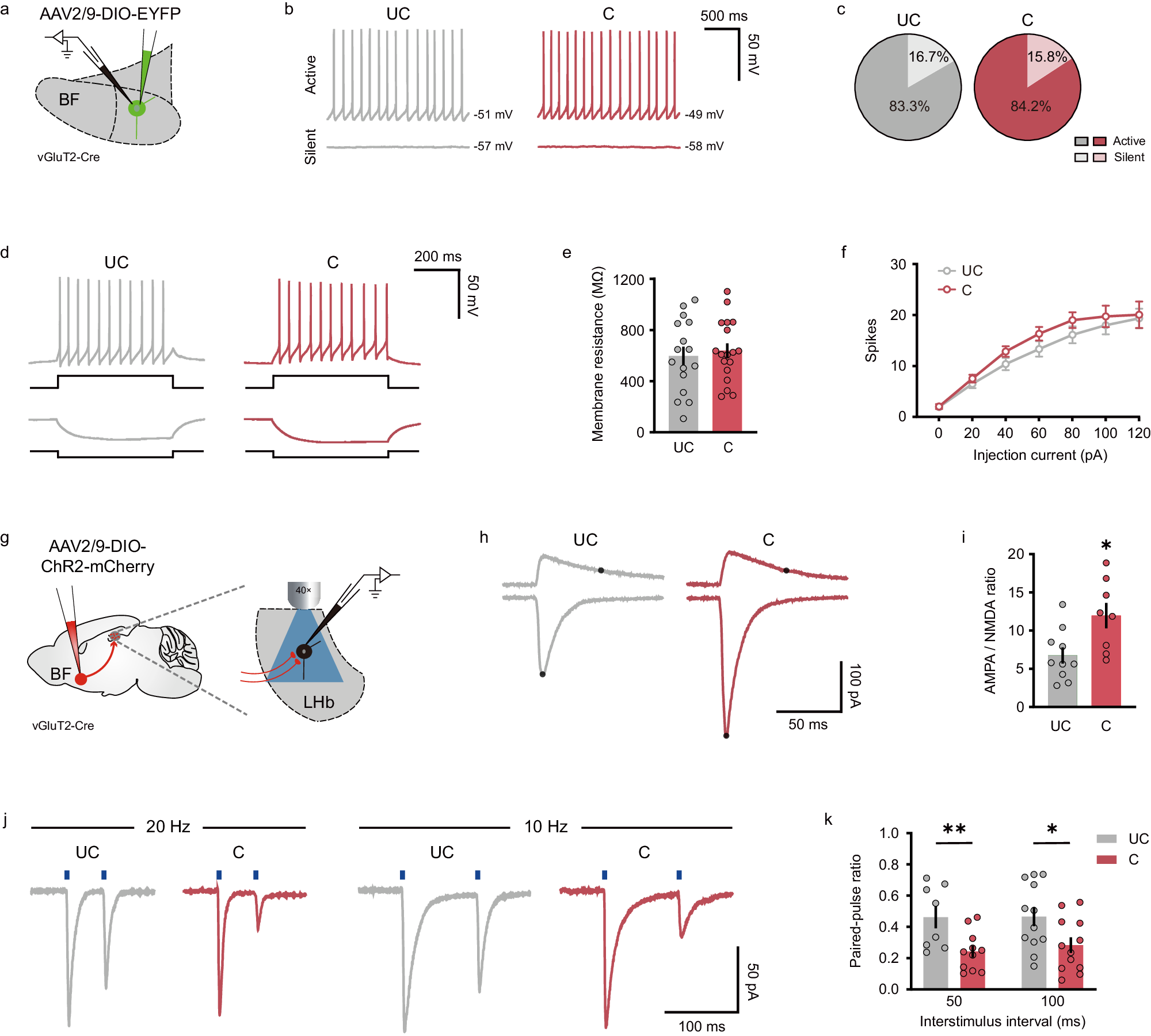 Fig. 7: SFC potentiates BF-LHb glutamatergic functional connection.