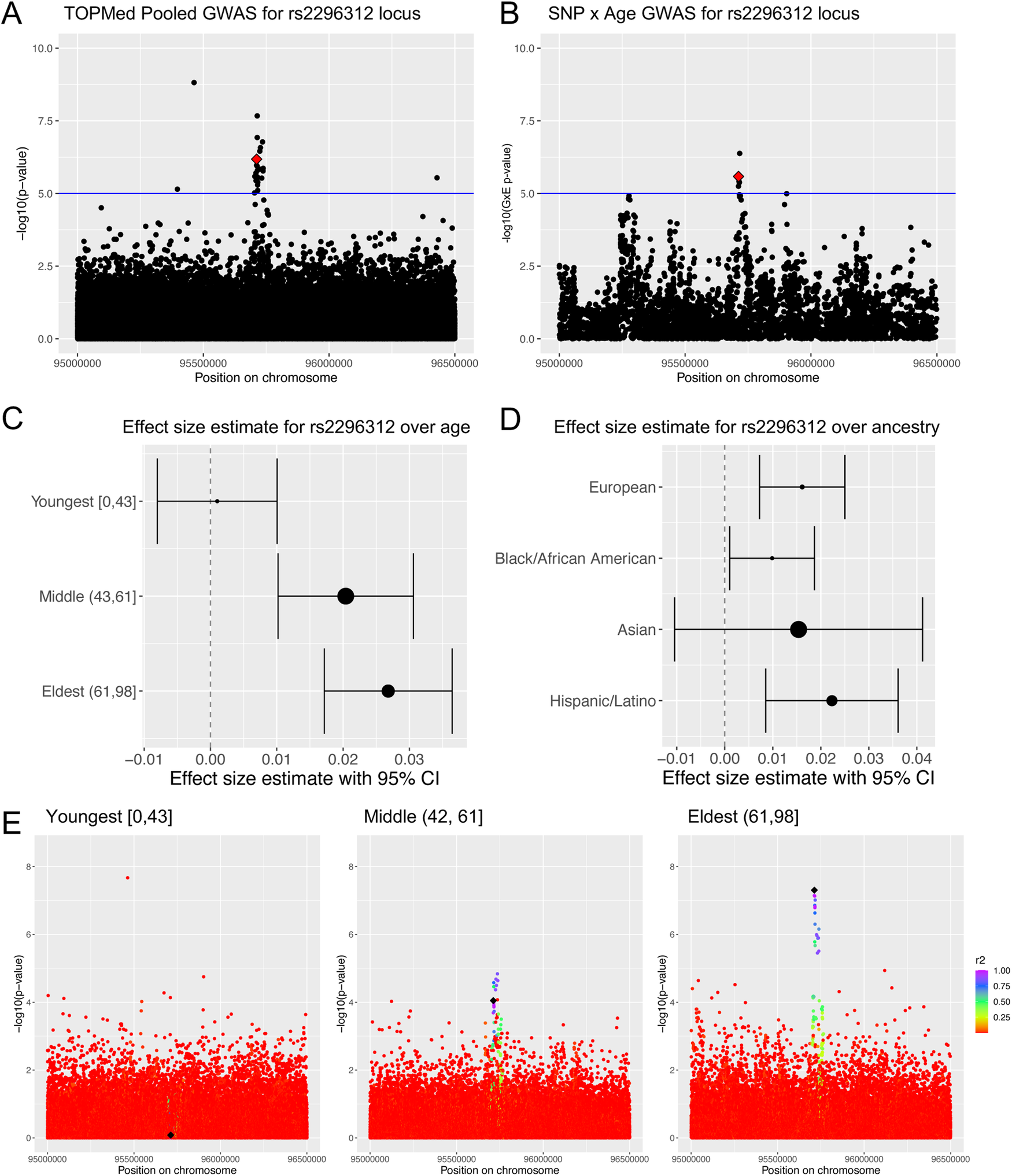 Fig. 4: TCL1A 95% credible set SNPs are more strongly associated with telomere length in older individuals.