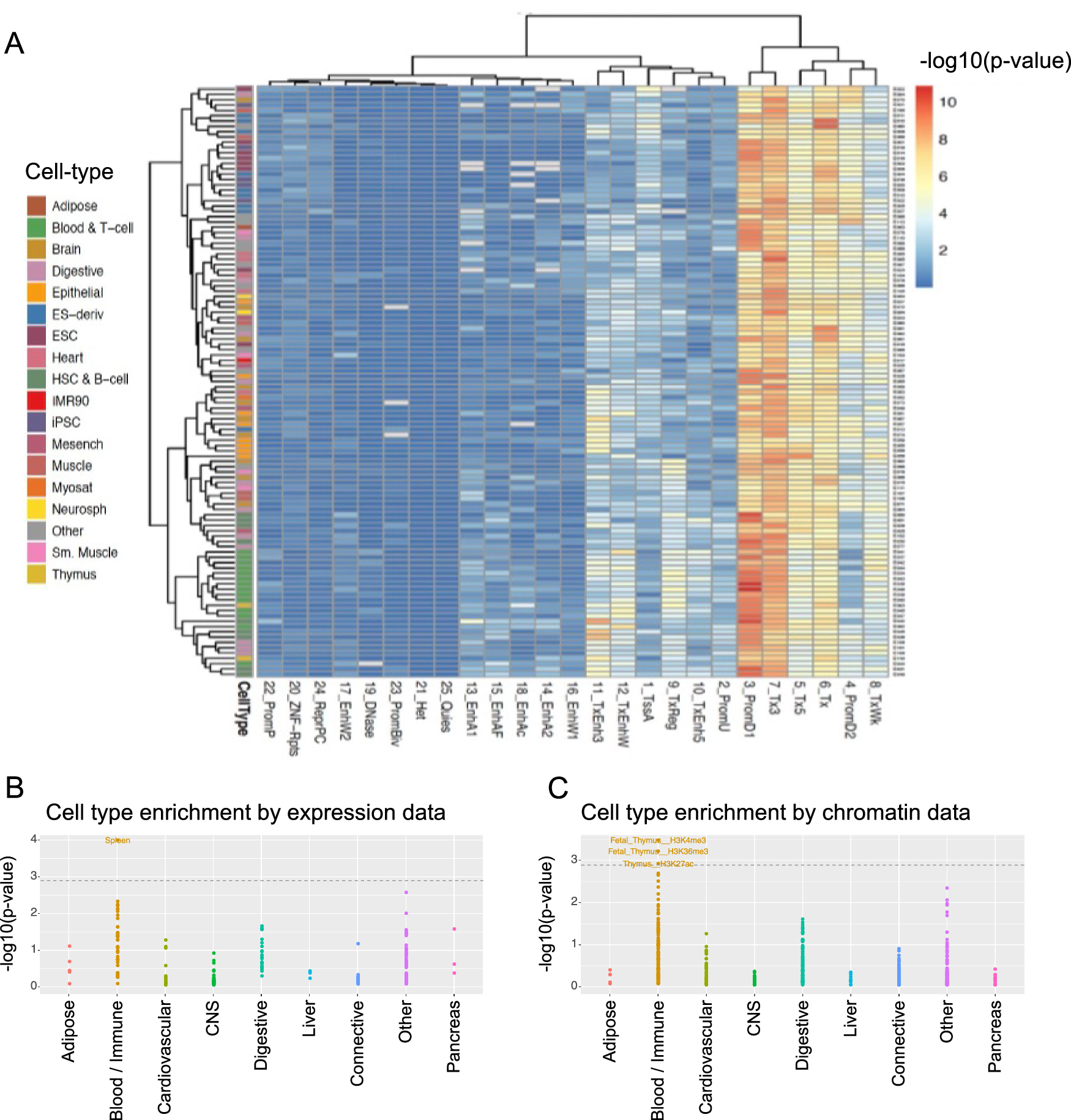 Fig. 5: Blood and immune cells are a key cell type for telomere length.