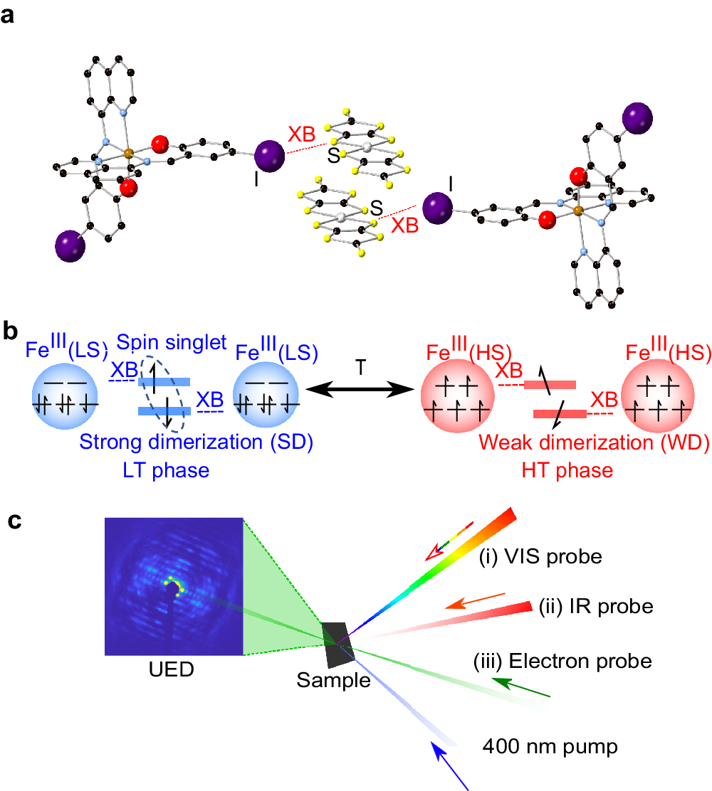 Direct observation of photoinduced sequential spin transition in a  halogen-bonded hybrid system by complementary ultrafast optical and  electron probes | Nature Communications