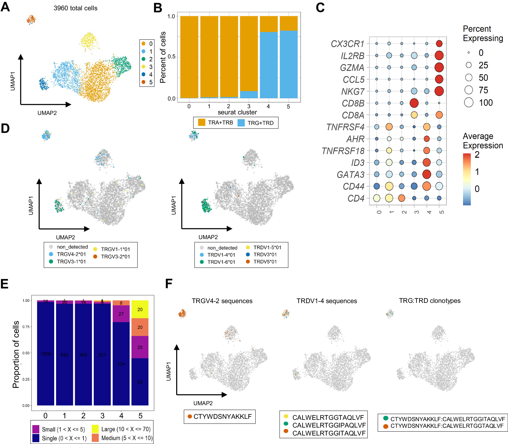 Fig. 6: Naked mole-rat NK-like effector γδ T are enriched for invariant TCR sequences.
