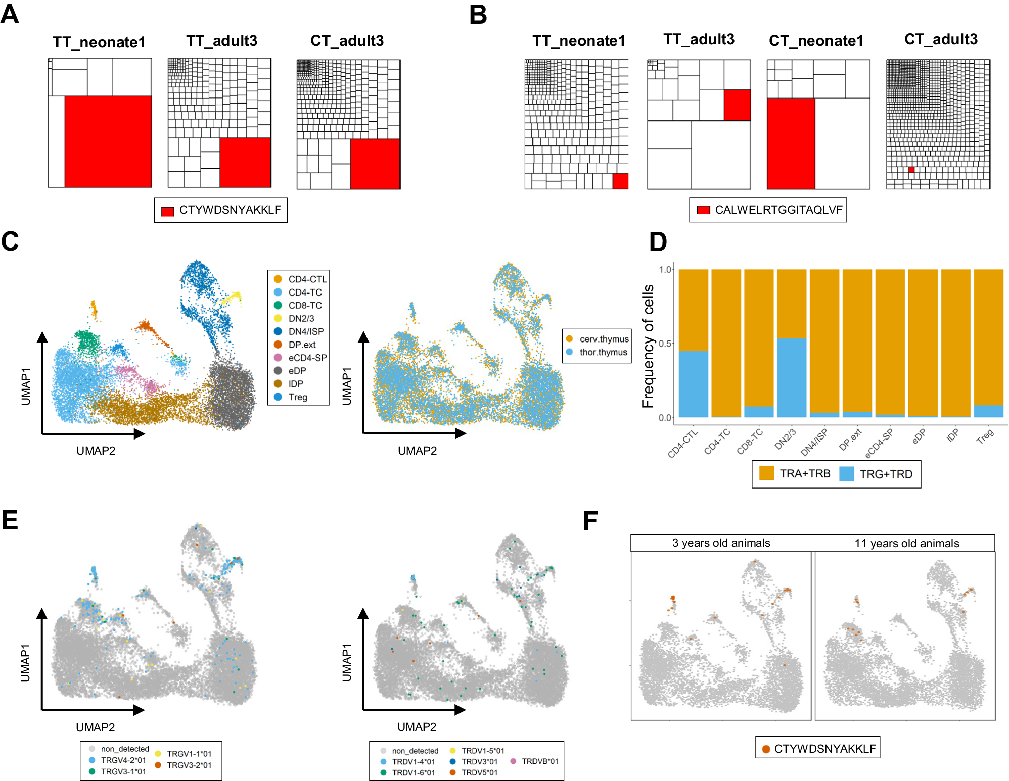 Fig. 8: Naked mole-rat invariant γδ TCR sequences are generated in the thymus until mid-life.