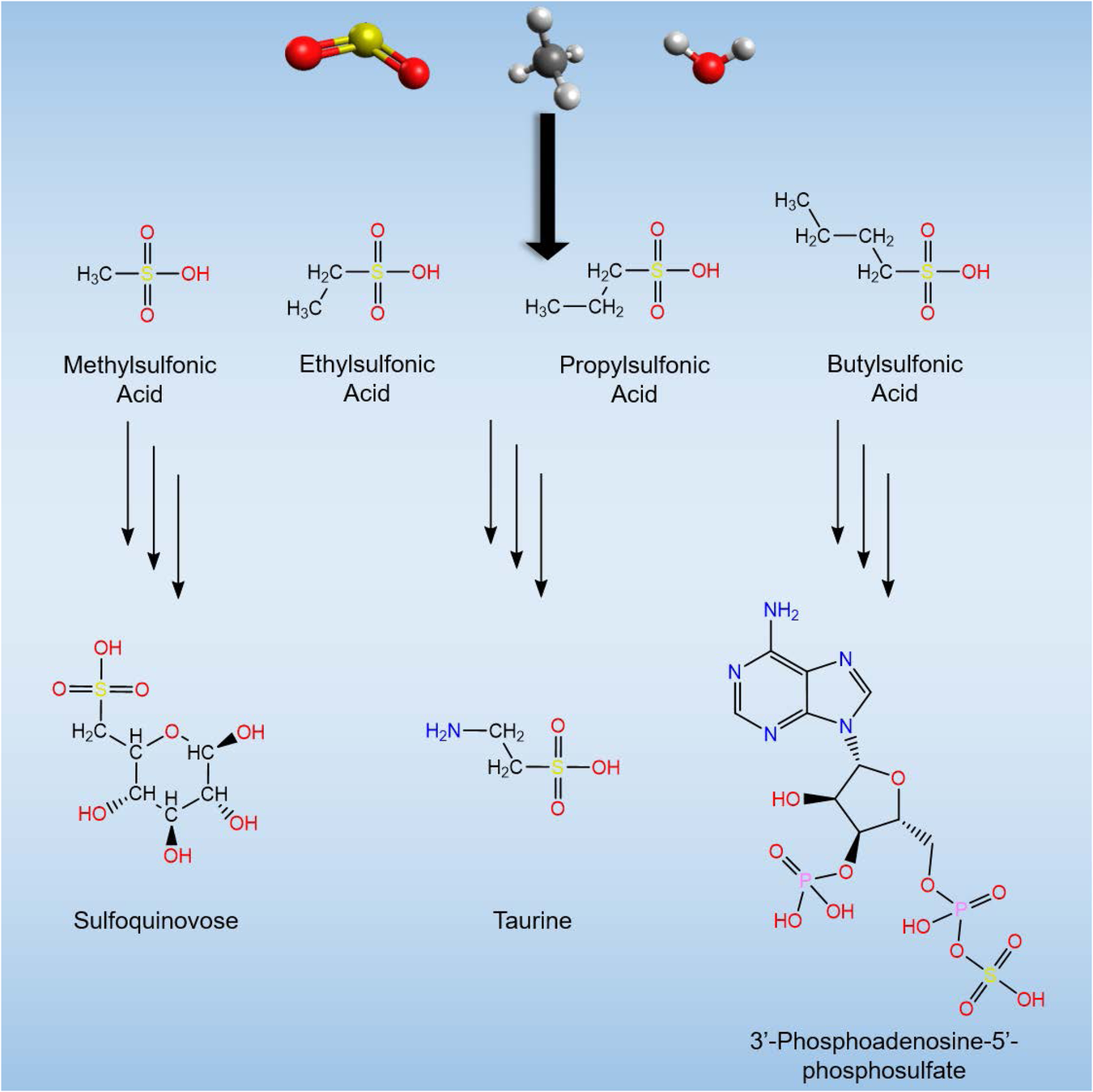 abiotic-formation-of-alkylsulfonic-acids-in-interstellar-analog-ices-and-implications-for-their-detection-on-ryugu-nature-communications