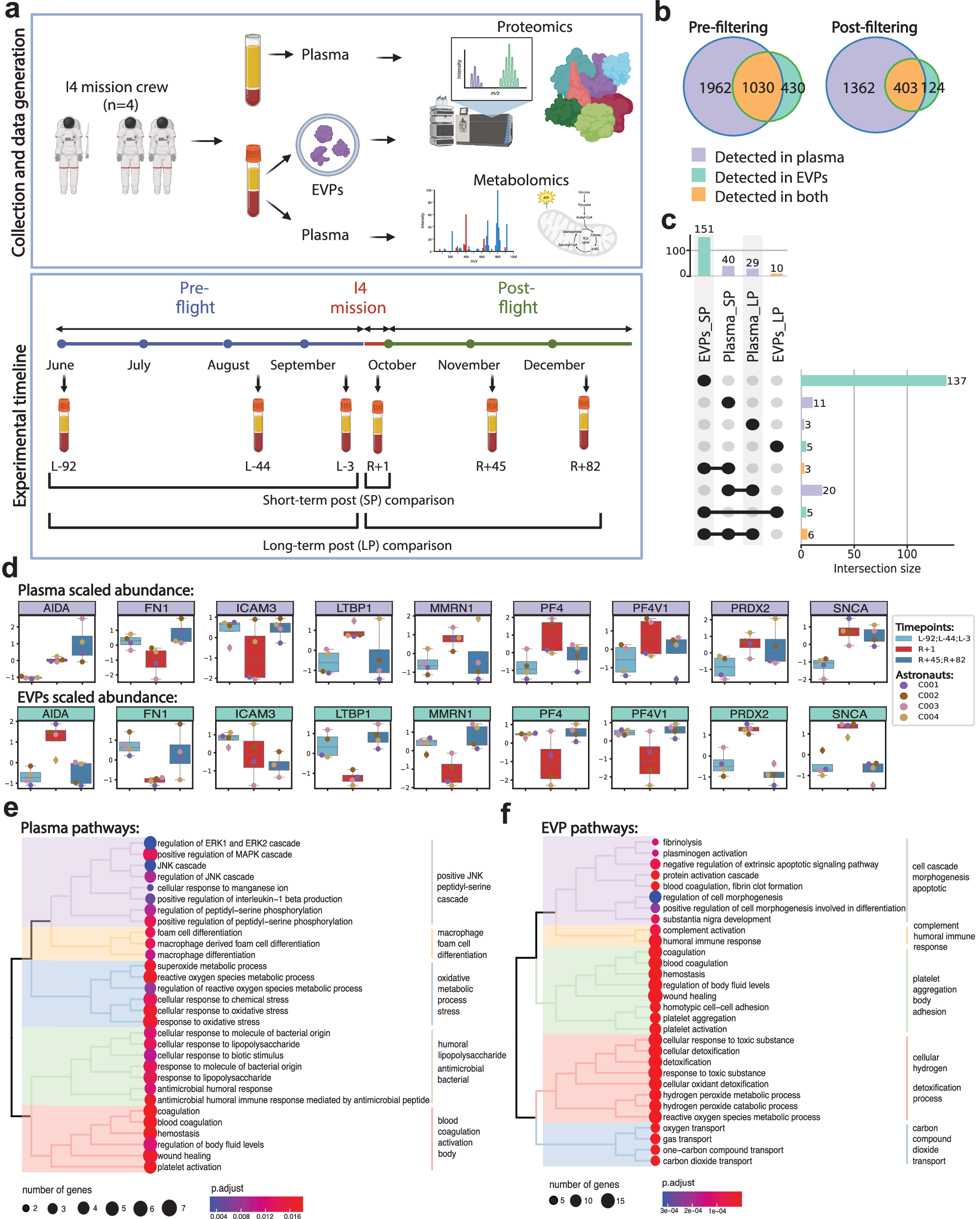 Fig. 1: Changes in the proteomic profile of plasma and EVPs after 3-day spaceflight.