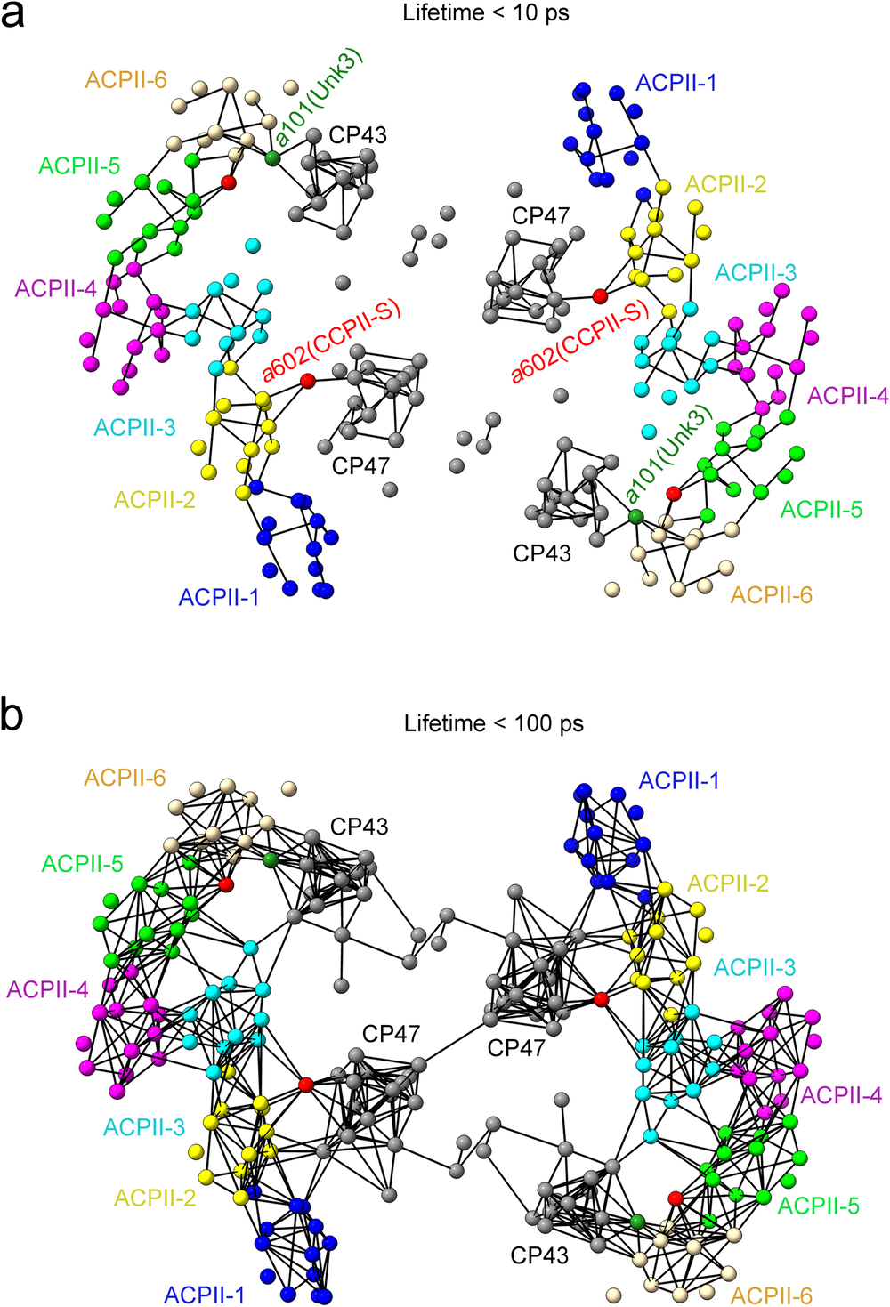 Fig. 8: Structure-based calculation of FRET rates presenting possible excitation energy transfer pathways in the PSII-ACPII supercomplex.