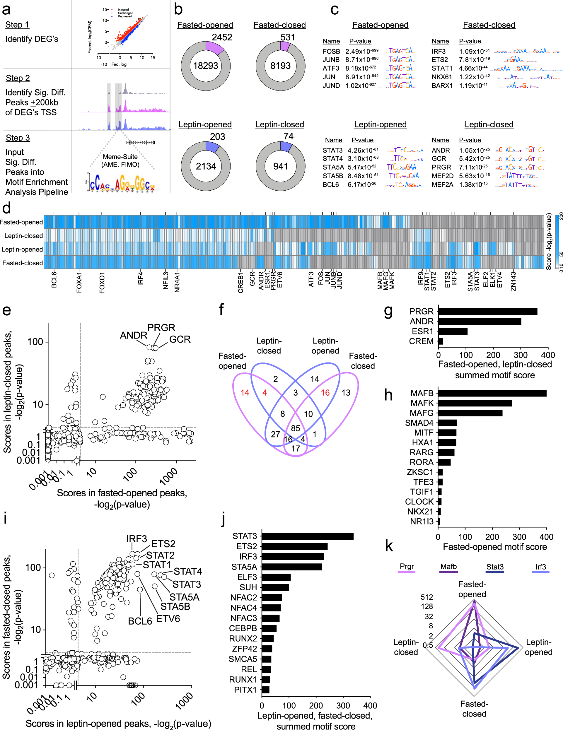 Fig. 3: Integrated transcriptomic and cistromic analysis identifies putative leptin-sensitive TFs in AgRP neurons.