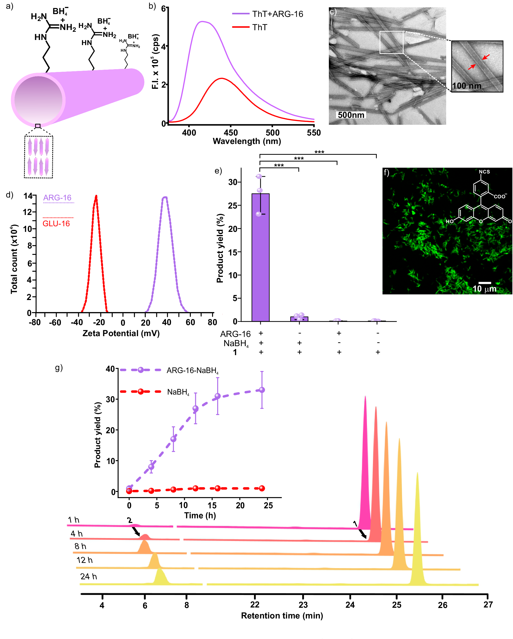 Fig. 2: Characterization and catalytic action of ARG-16.
