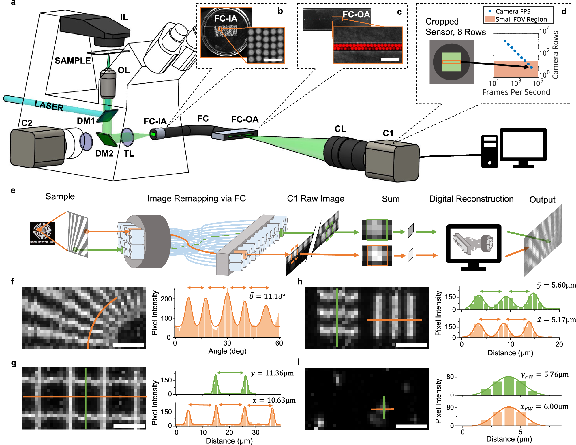 High-speed optical imaging with sCMOS pixel reassignment | Nature  Communications