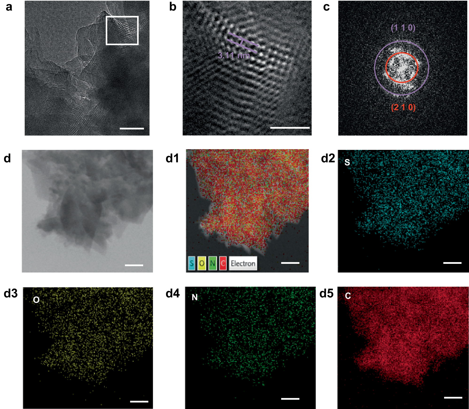 Fig. 3: TEM characterization of TpDPP-Py COFs.