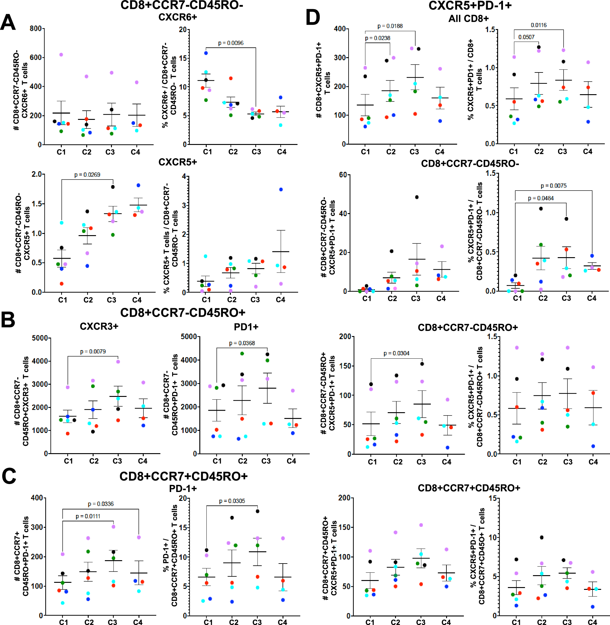 Fig. 7: CD8 + CCR7-CD45RO-CXCR6 + T cells decrease and CD8 + CCR7-CXCR5 + T cells increase after repetitive CHMI.