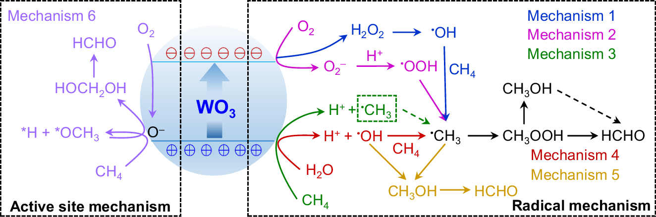 Fig. 1: Multiple reaction pathways of photocatalytic CH4 oxidation to HCHO.