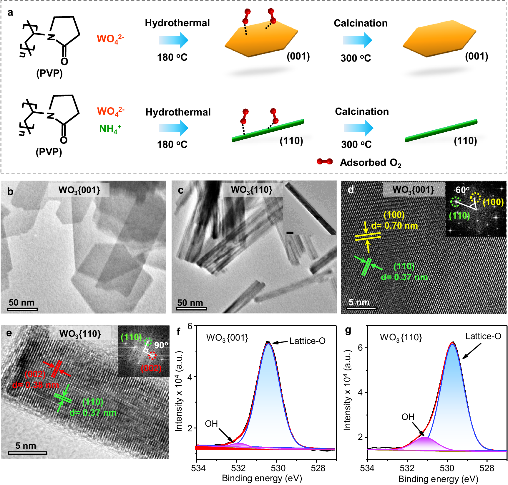 Fig. 2: Synthesis and characterization of the photocatalysts.