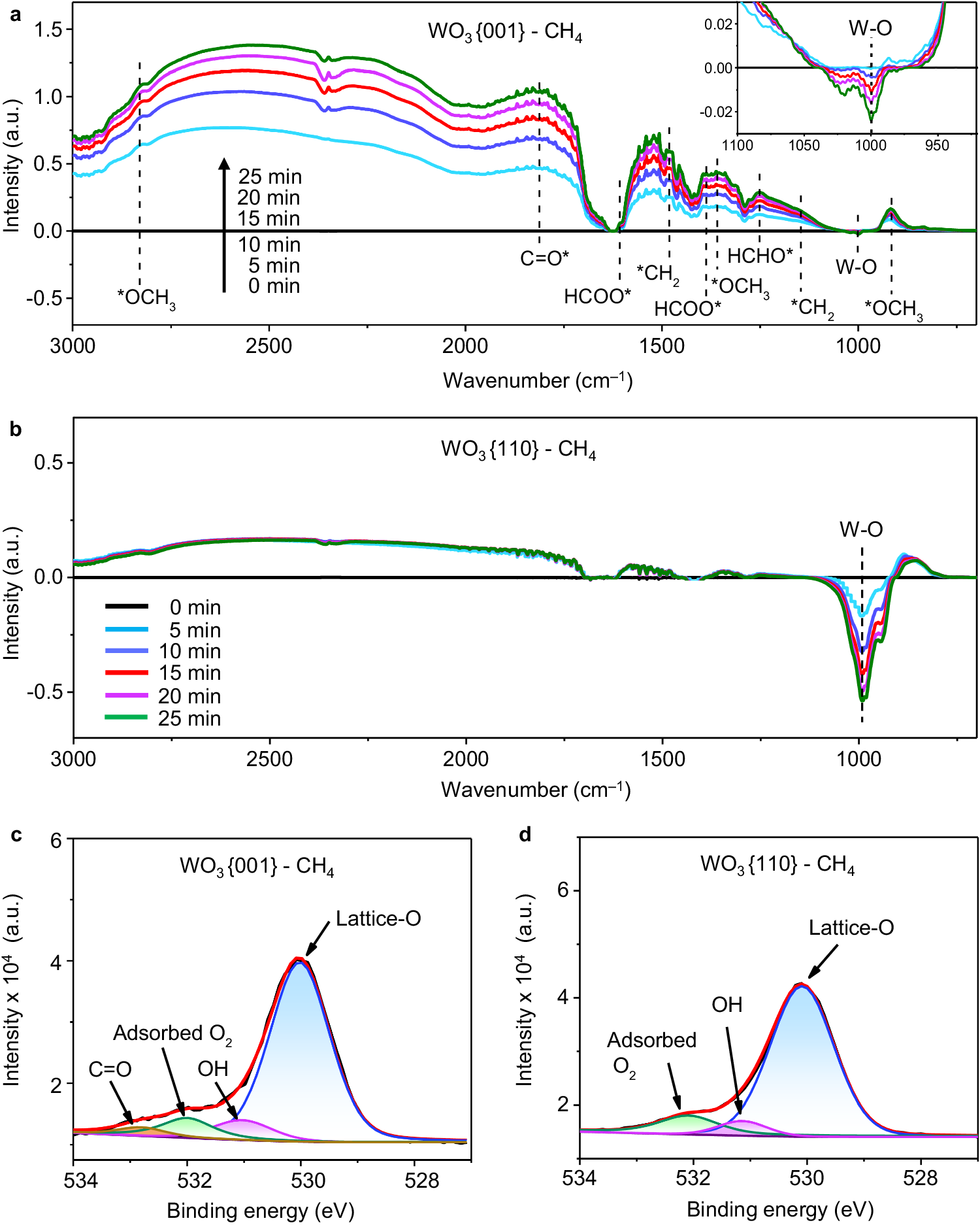 Fig. 4: Investigation on the role of lattice-O in CH4 oxidation.