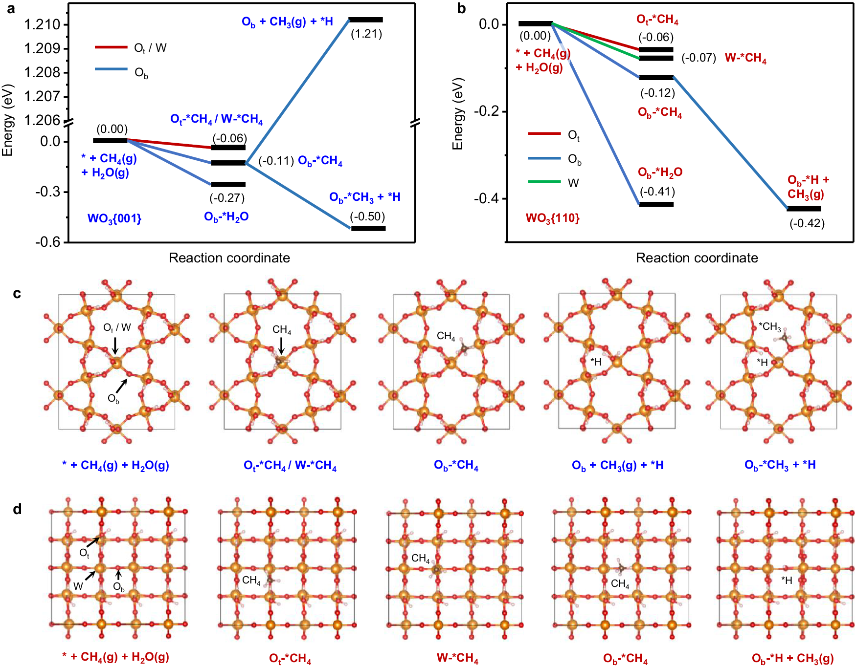 Fig. 6: Elucidation of different CH4 oxidation pathways based on DFT calculation.