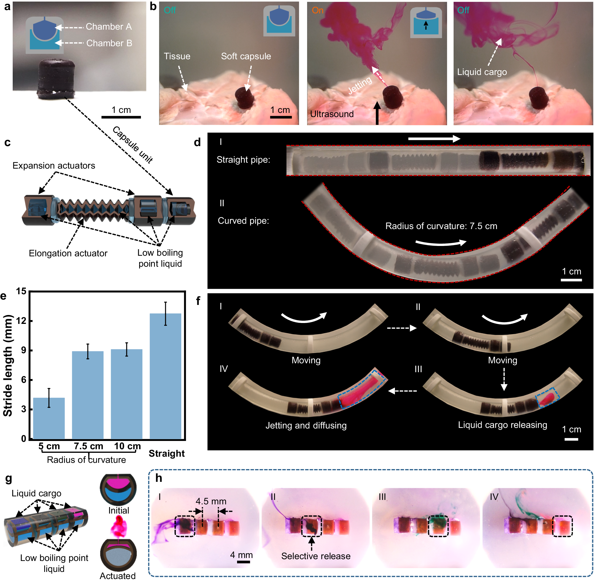 Fig. 4: FUPT-based on-demand liquid cargo delivery soft robot and multiunit soft capsule.