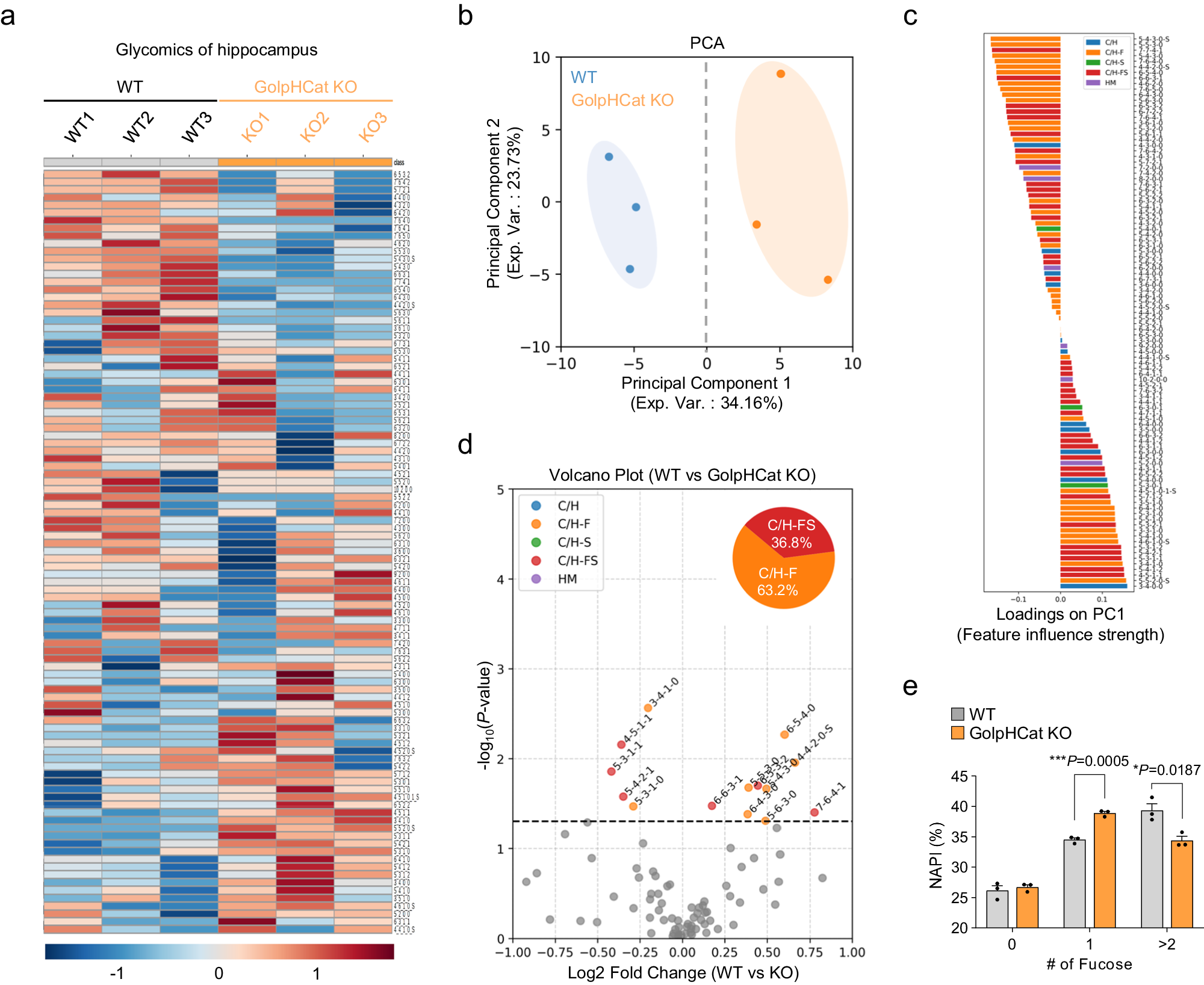 Fig. 7: A deficit of GolpHCat altered glycosylation in the hippocampus.