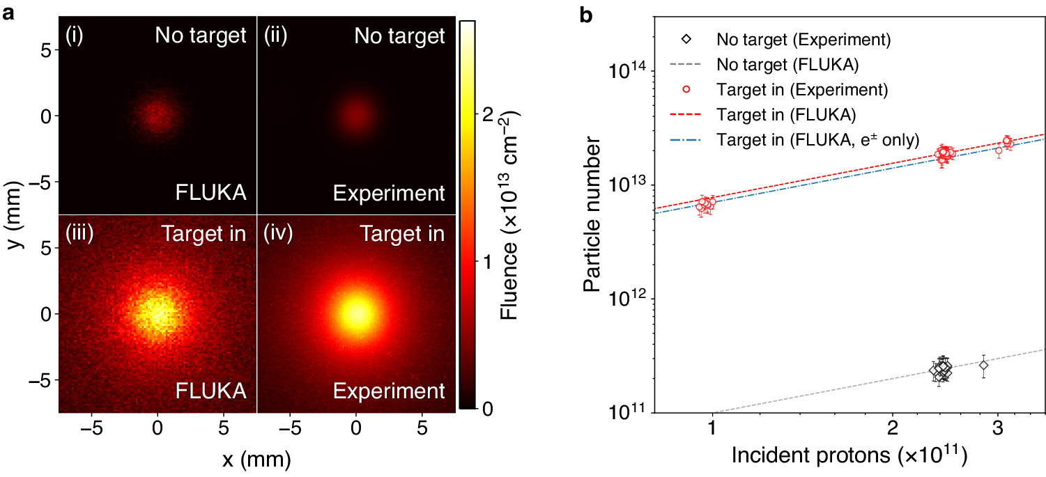 Fig. 2: Transverse beam profile imaged using a luminescence screen.
