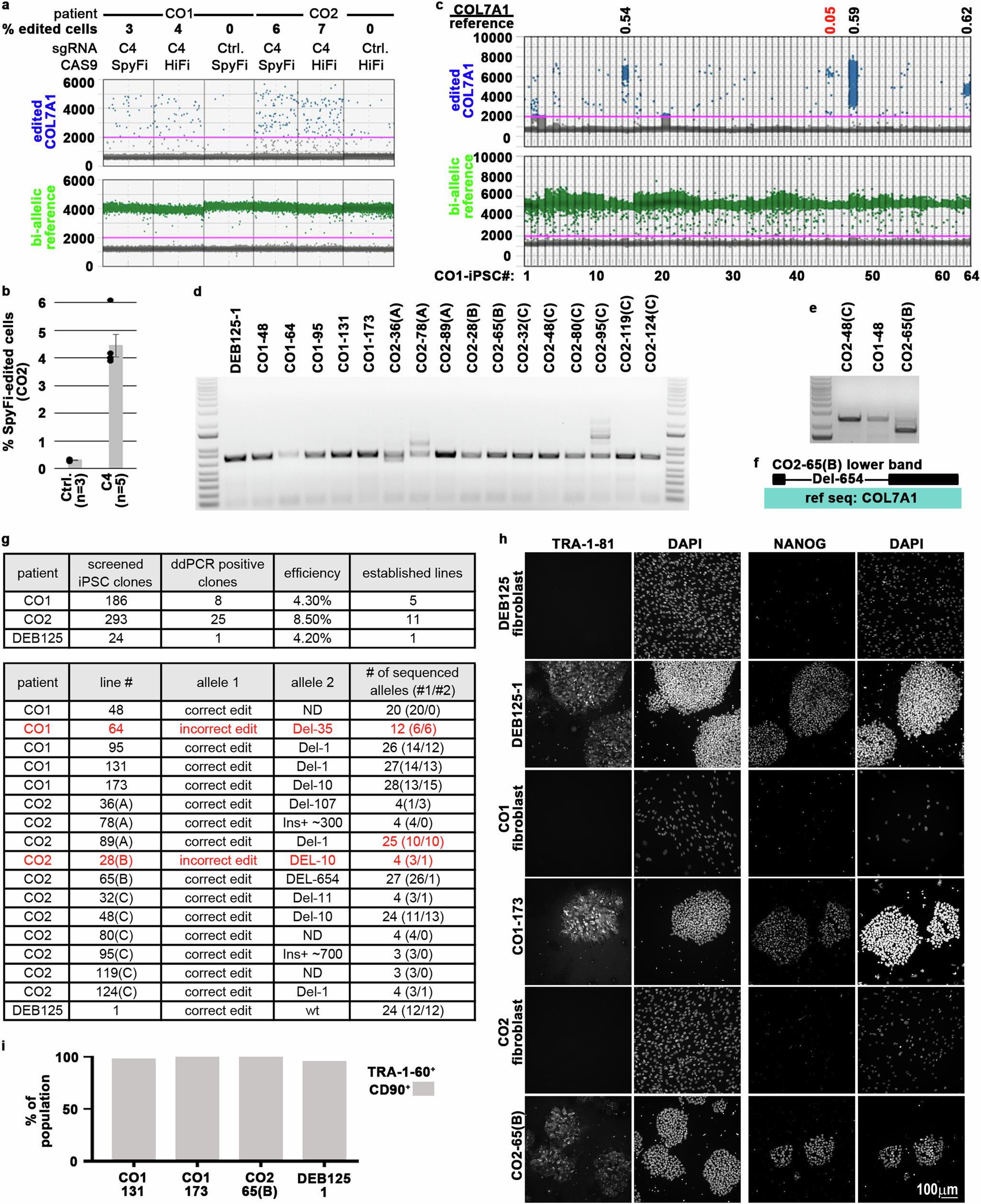 Fig. 2: Successful single manufacturing step editing/reprogramming of patients CO1, CO2, & DEB125.